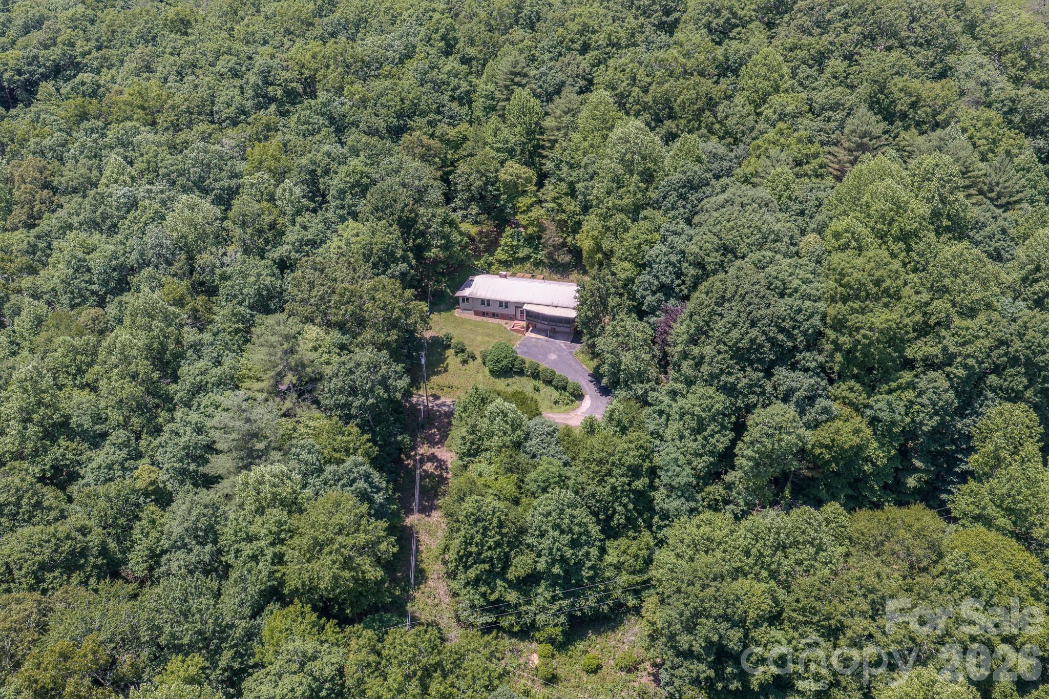 35 Coweeta Ridge Otto, NC 28763 - Photo 7 of 48