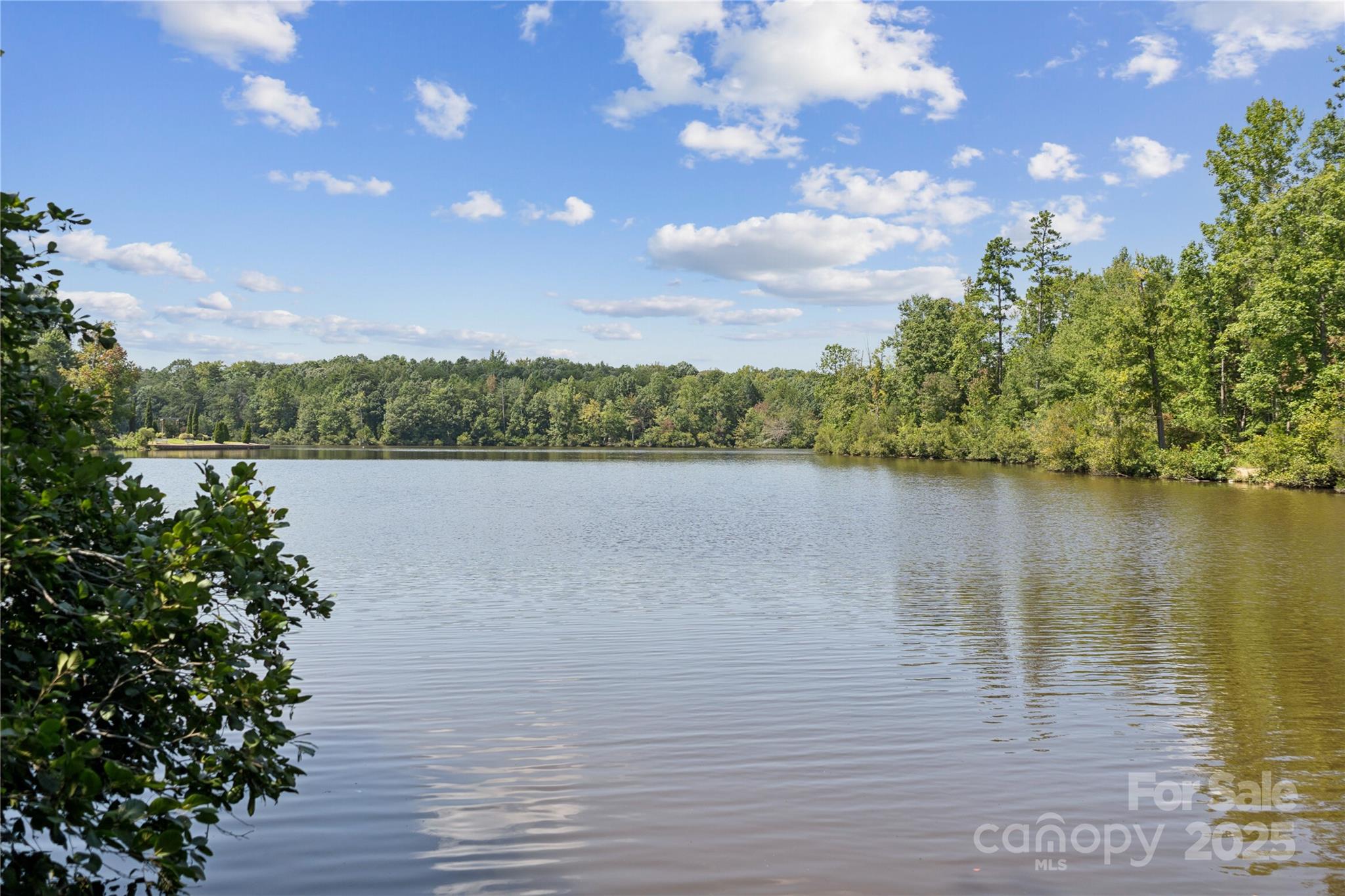 5119 Raging Crk Drive Indian Trail, NC 28079 - Photo 30 of 34 a view of a lake from a yard