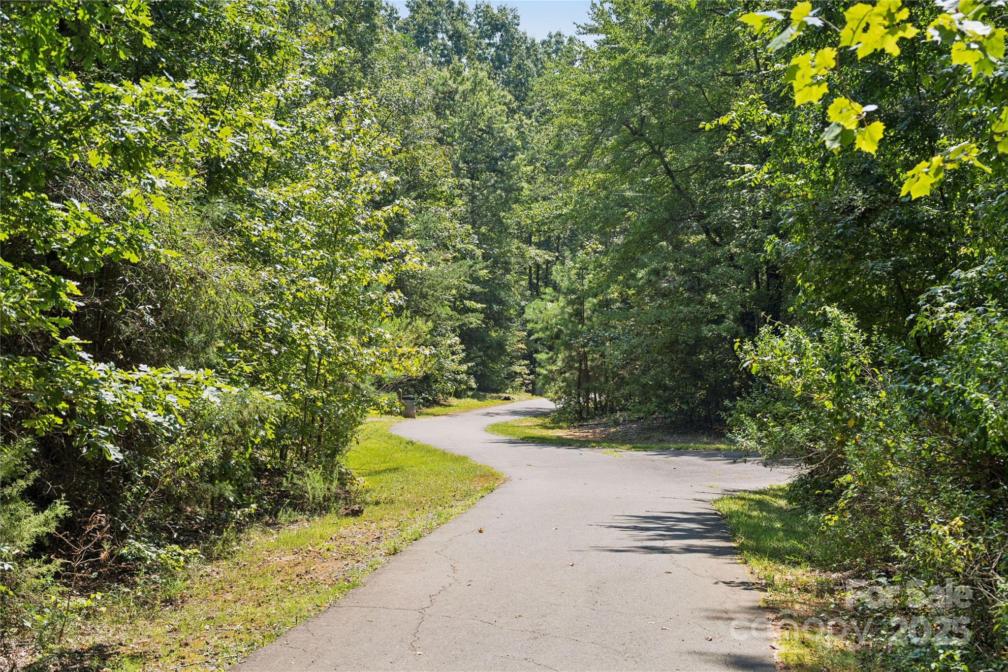 5119 Raging Crk Drive Indian Trail, NC 28079 - Photo 31 of 34 a view of a yard with plants and large trees
