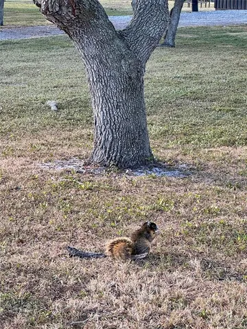 $2,395,000 | 14151 Center Street, Okeechobee, FL 34974