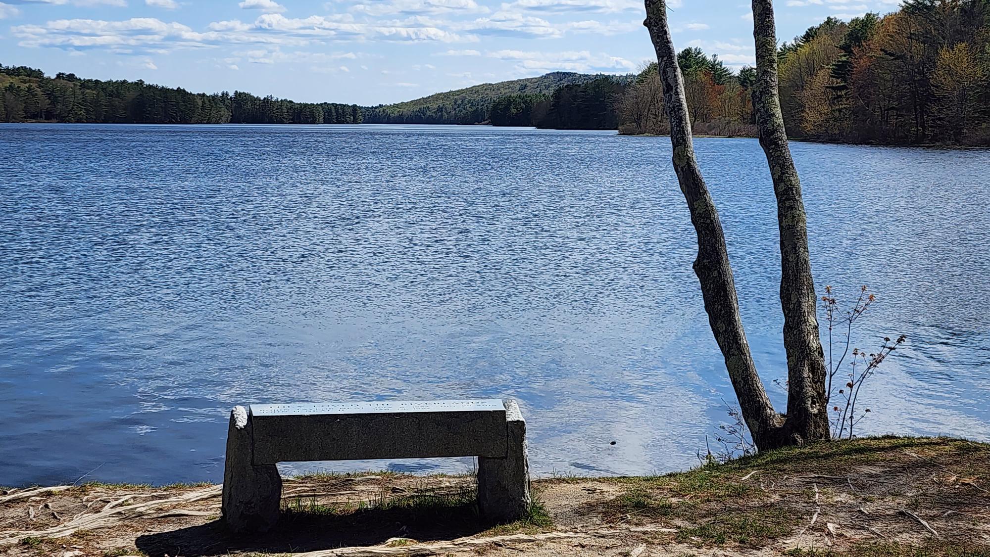 934 North River Road Greene, ME 04236 - Photo 67 of 72 20230509_152456
