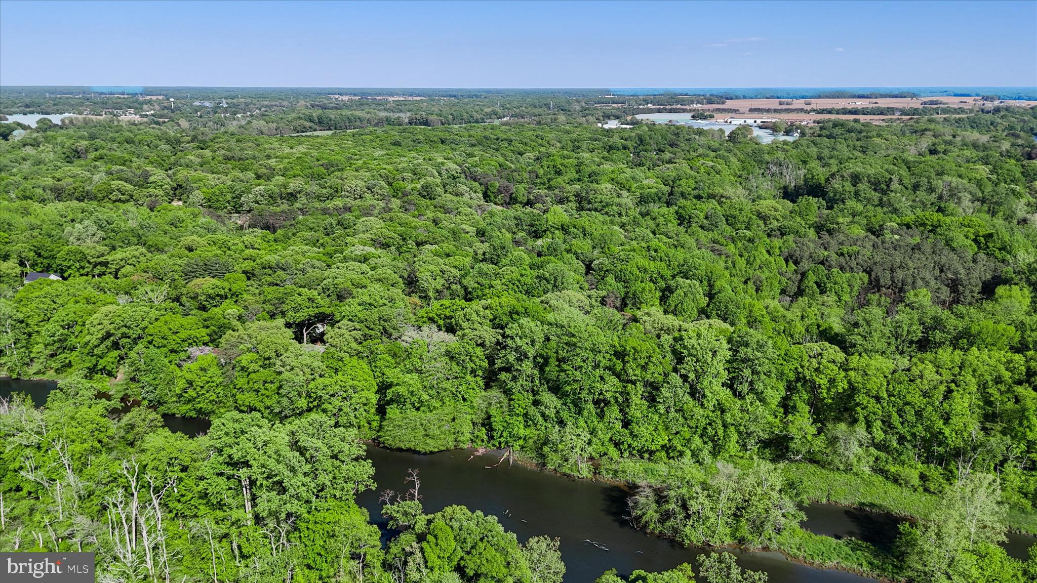 251 Rings End Road Millington, MD 21651 - Photo 43 of 47 a view of a lush green forest with lots of trees