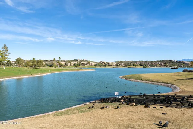 a bathroom with a sink a toilet and vanity