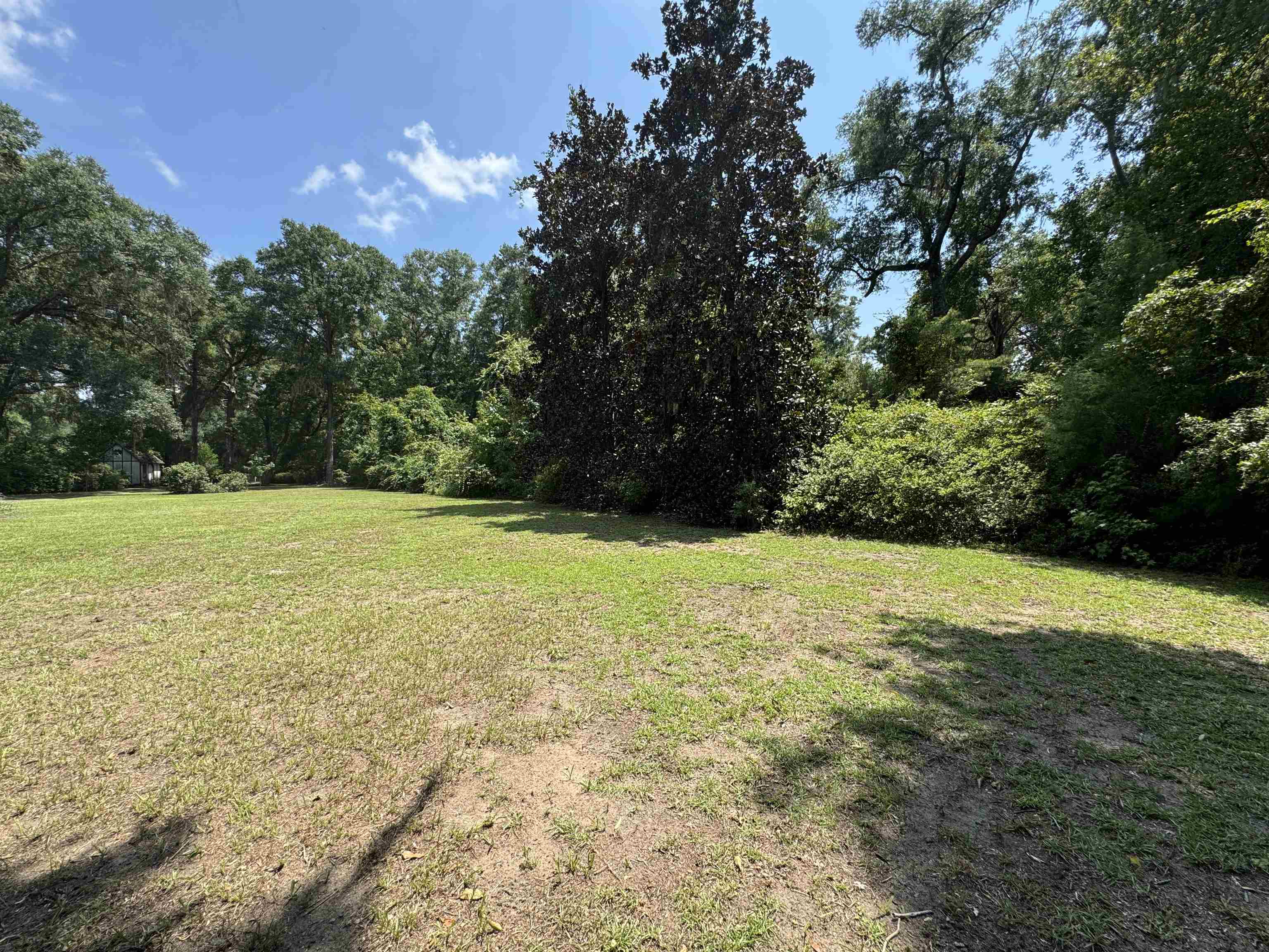 Parramore Shores Road Tallahassee, FL 32310 - Photo 15 of 31
