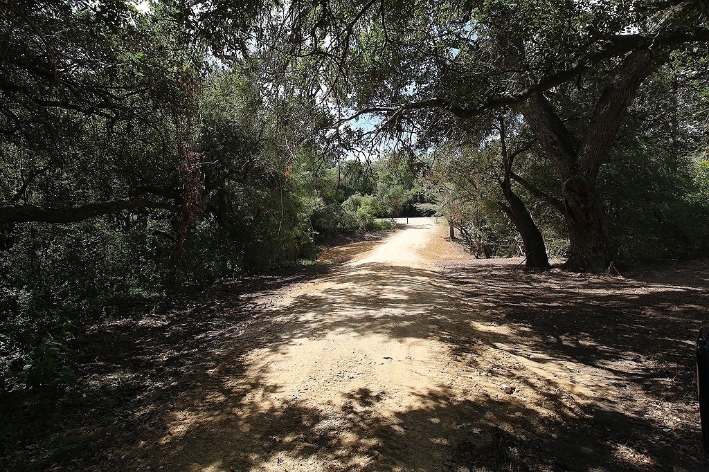 1801 Fm 1383 Schulenburg, TX 78956 - Photo 12 of 17 a view of a yard with trees