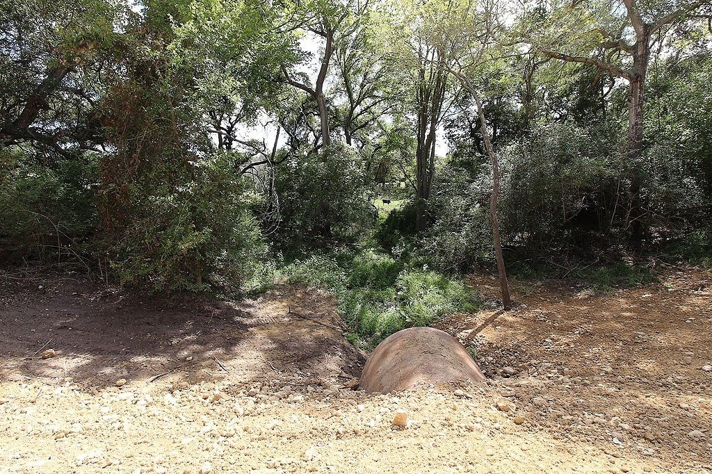 1801 Fm 1383 Schulenburg, TX 78956 - Photo 13 of 17 a view of a yard with plants and trees