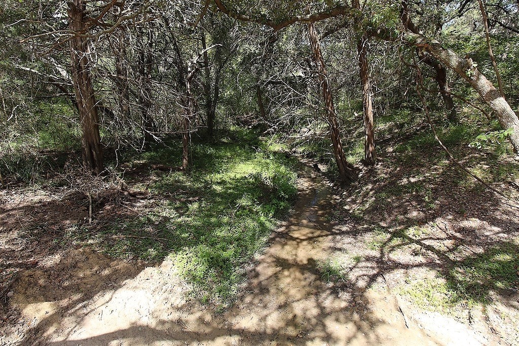 1801 Fm 1383 Schulenburg, TX 78956 - Photo 14 of 17 a view of a forest with lots of trees