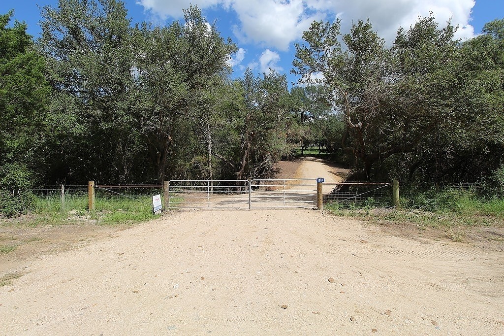 1801 Fm 1383 Schulenburg, TX 78956 - Photo 15 of 17 a view of outdoor space with trees all around