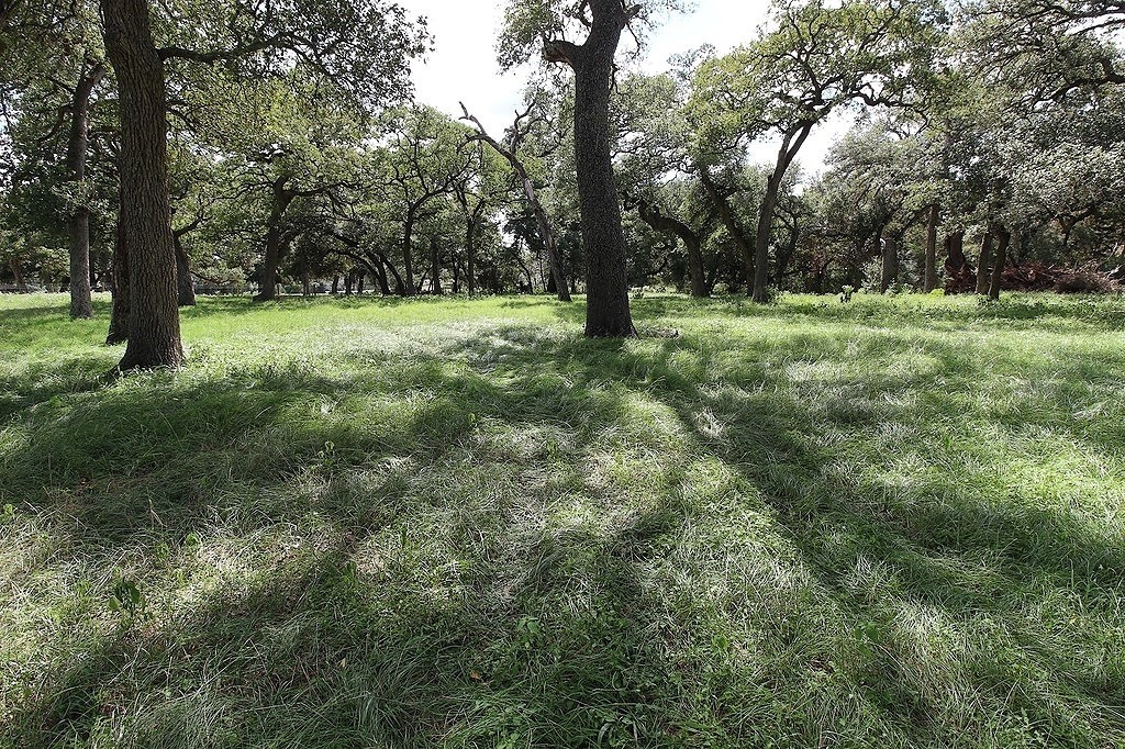 1801 Fm 1383 Schulenburg, TX 78956 - Photo 3 of 17 a view of outdoor space with a garden