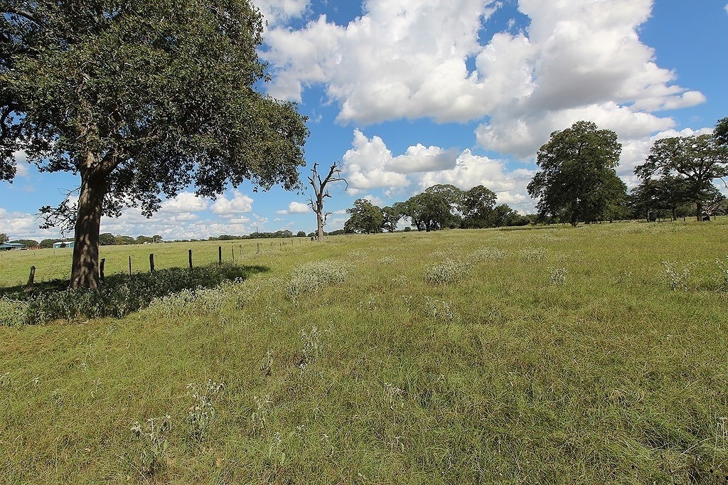 1801 Fm 1383 Schulenburg, TX 78956 - Photo 6 of 17 a view of outdoor space and yard