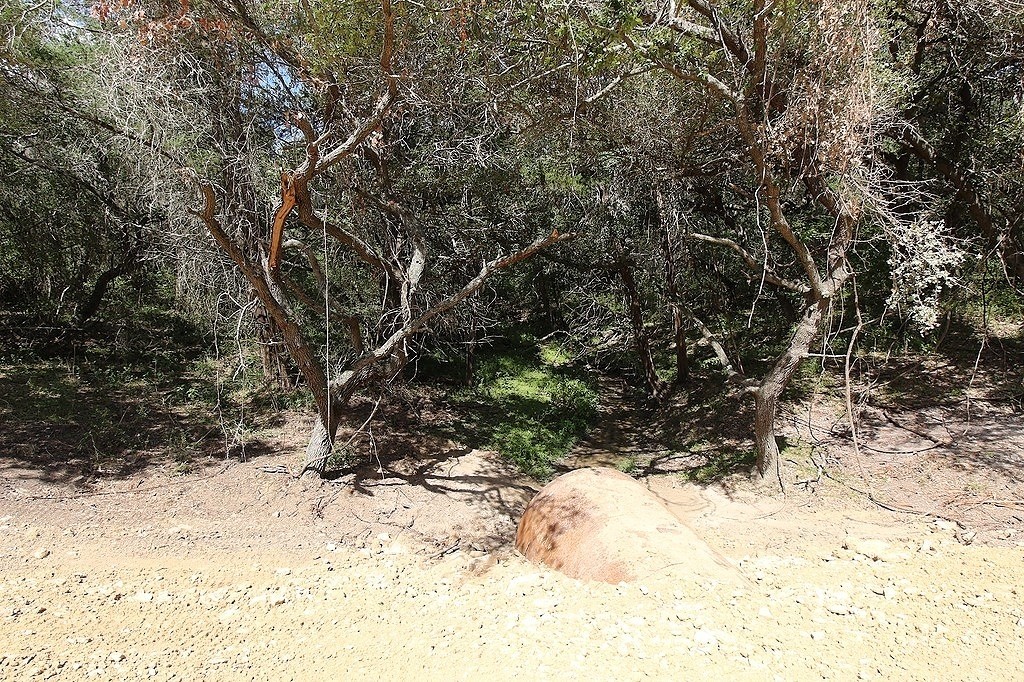 1801 Fm 1383 Schulenburg, TX 78956 - Photo 7 of 17 a view of a yard covered in snow
