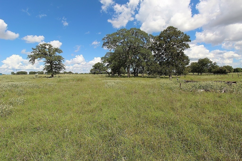 1801 Fm 1383 Schulenburg, TX 78956 - Photo 8 of 17 a view of a green field with lots of bushes