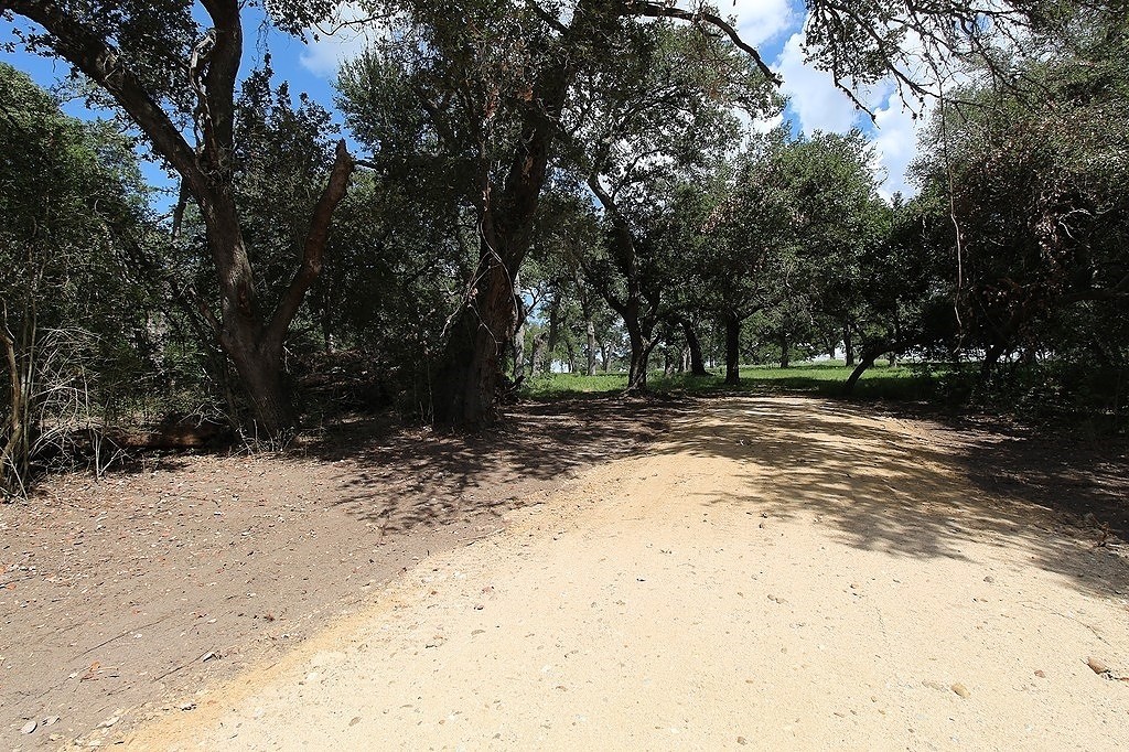 1801 Fm 1383 Schulenburg, TX 78956 - Photo 10 of 17 a view of outdoor space with trees