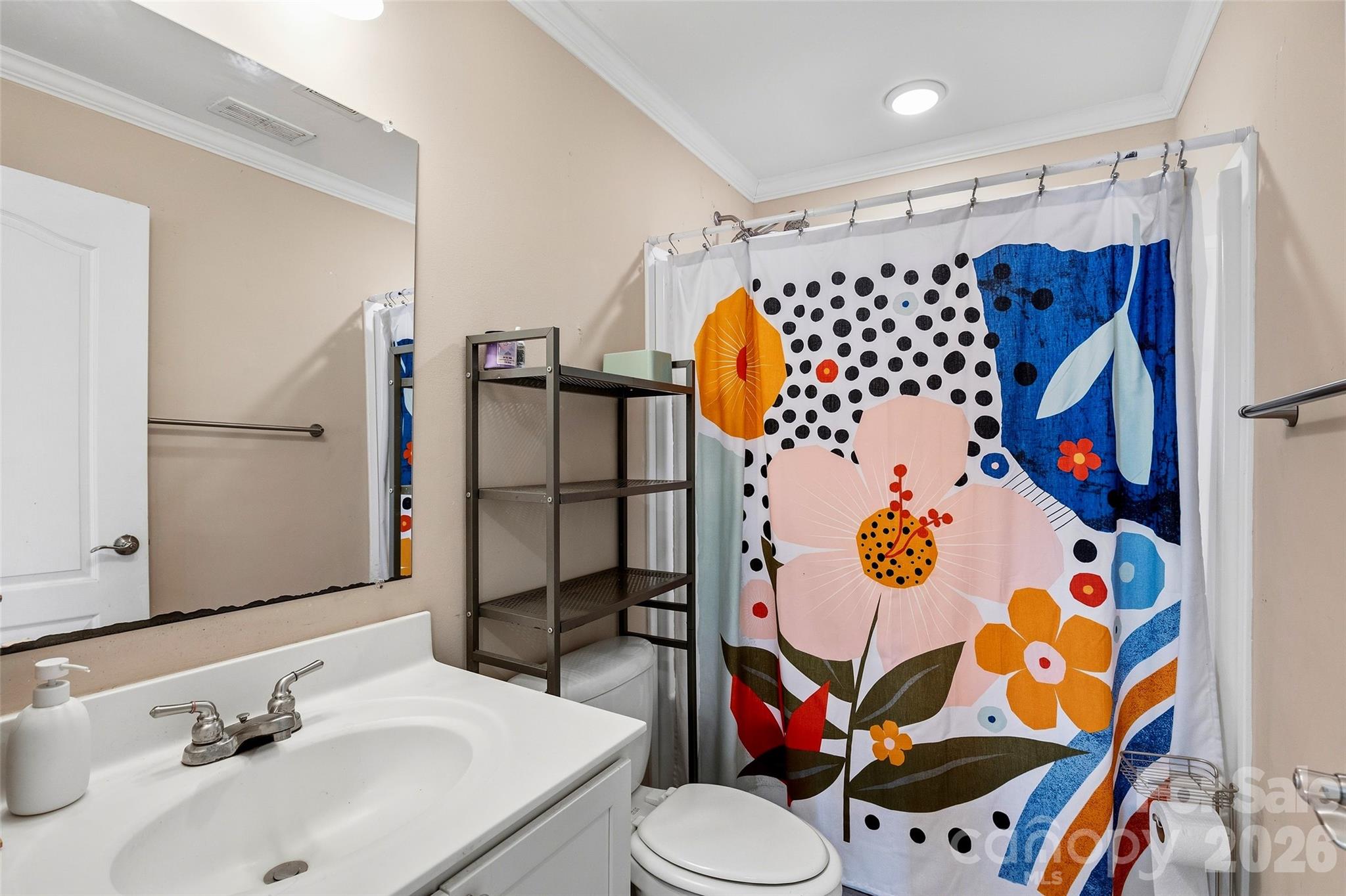 26 Brigman Road Weaverville, NC 28787 - Photo 19 of 27 a bathroom with a sink toilet and shower curtain