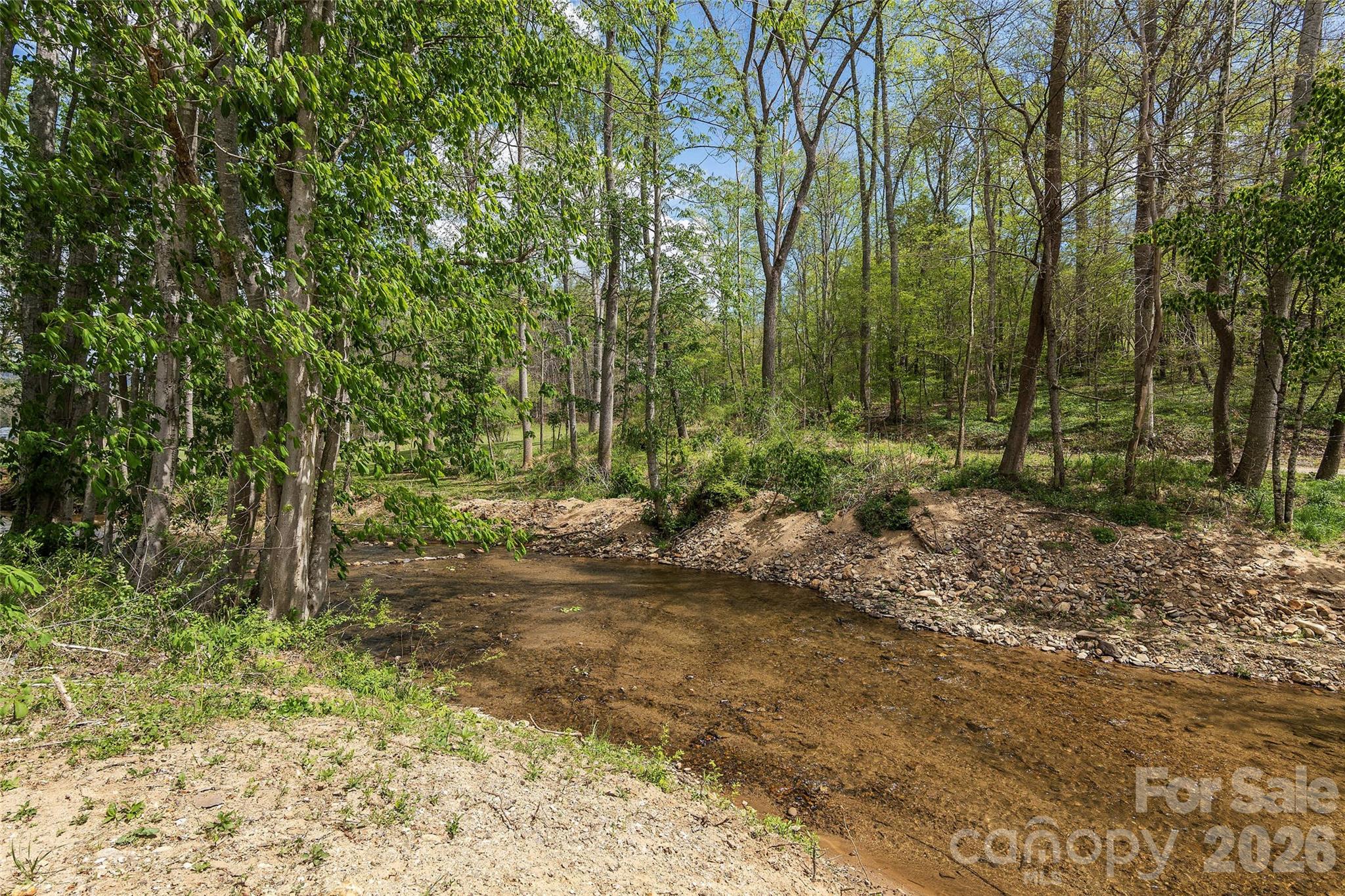 26 Brigman Road Weaverville, NC 28787 - Photo 24 of 27 a view of a forest filled with trees