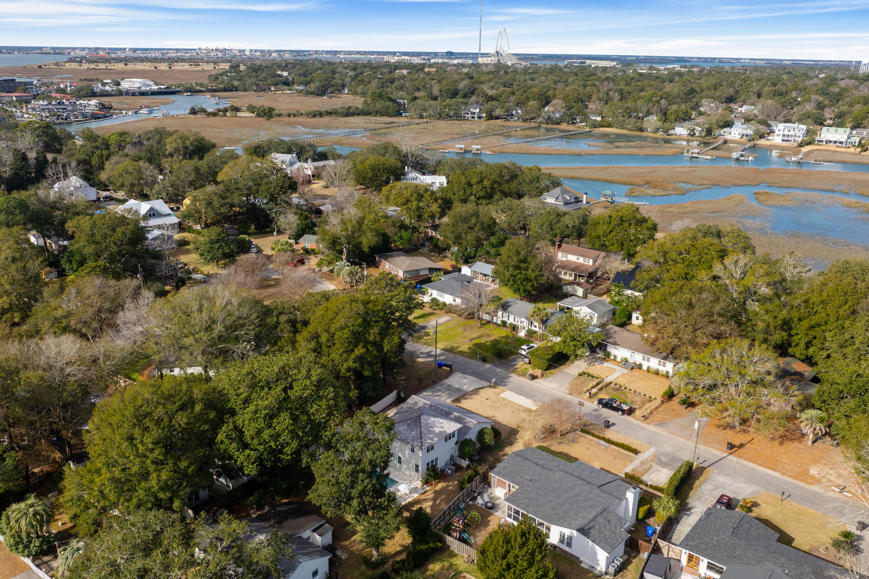 12 Ellen Avenue Mount Pleasant, SC 29464 - Photo 55 of 57 85