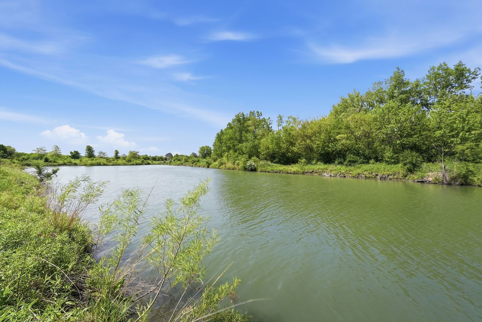 25216 Spring Street Manhattan, IL 60442 - Photo 21 of 28 a view of a lake from a yard