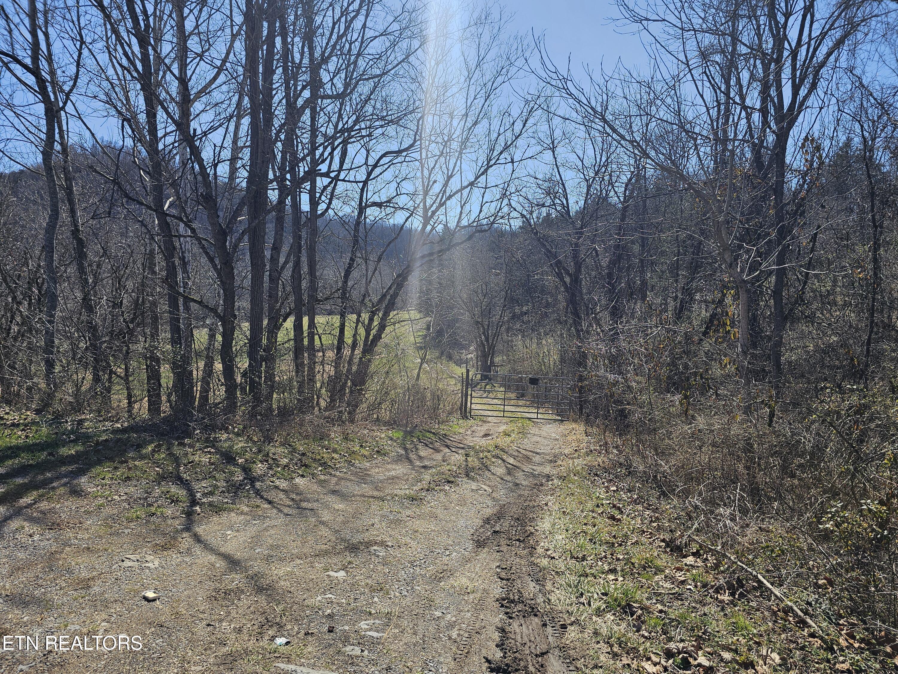 70 Tbd Route Jonesville, VA 24263 - Photo 2 of 52 1000011462