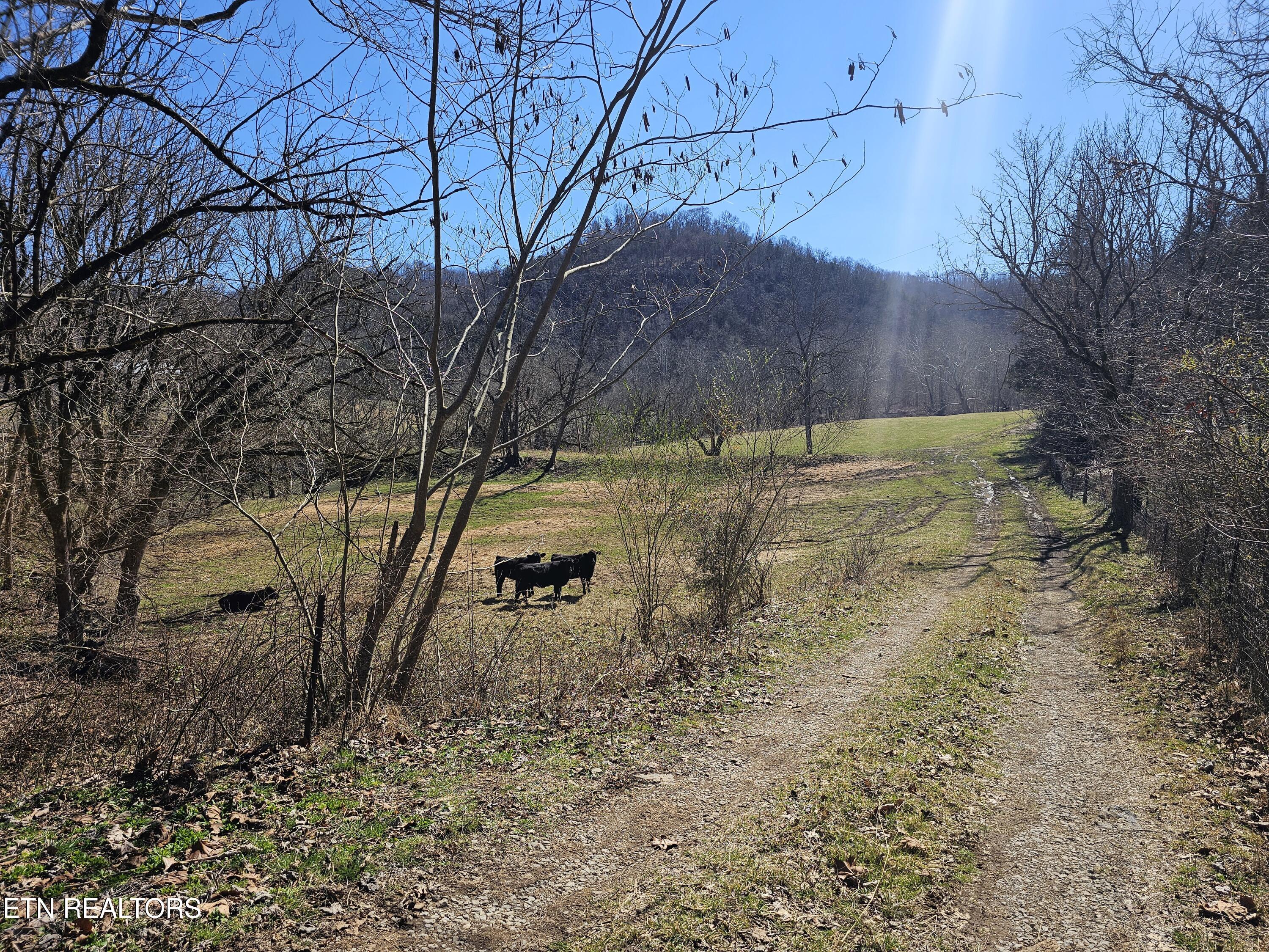 70 Tbd Route Jonesville, VA 24263 - Photo 3 of 52 1000011463