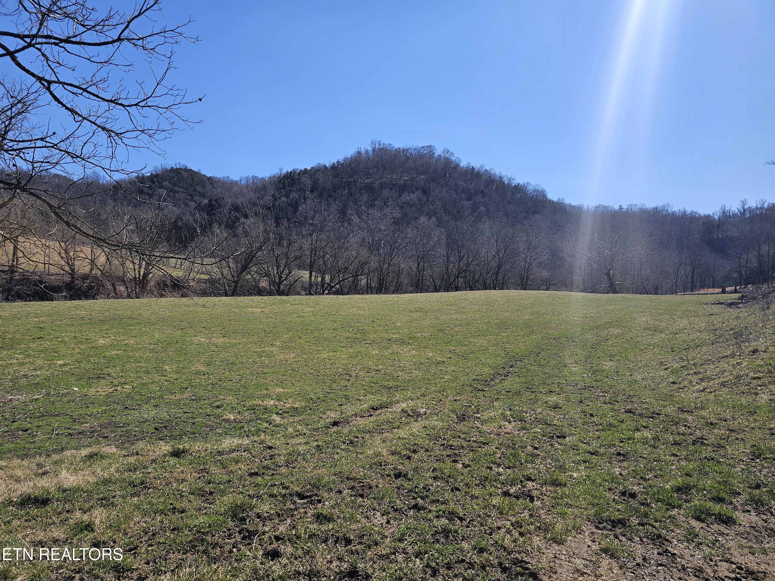 70 Tbd Route Jonesville, VA 24263 - Photo 4 of 52 1000011465