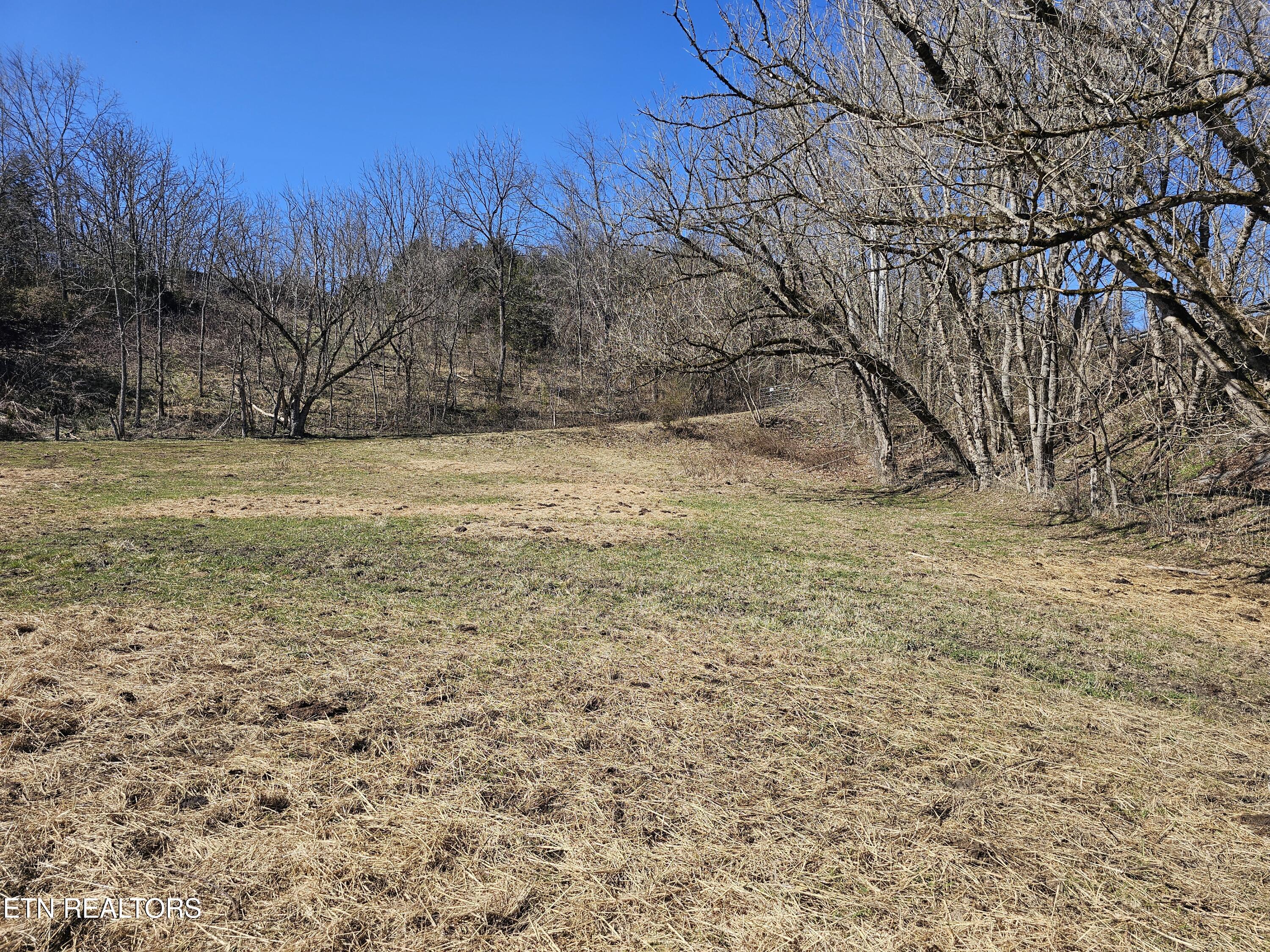 70 Tbd Route Jonesville, VA 24263 - Photo 5 of 34 1000011491