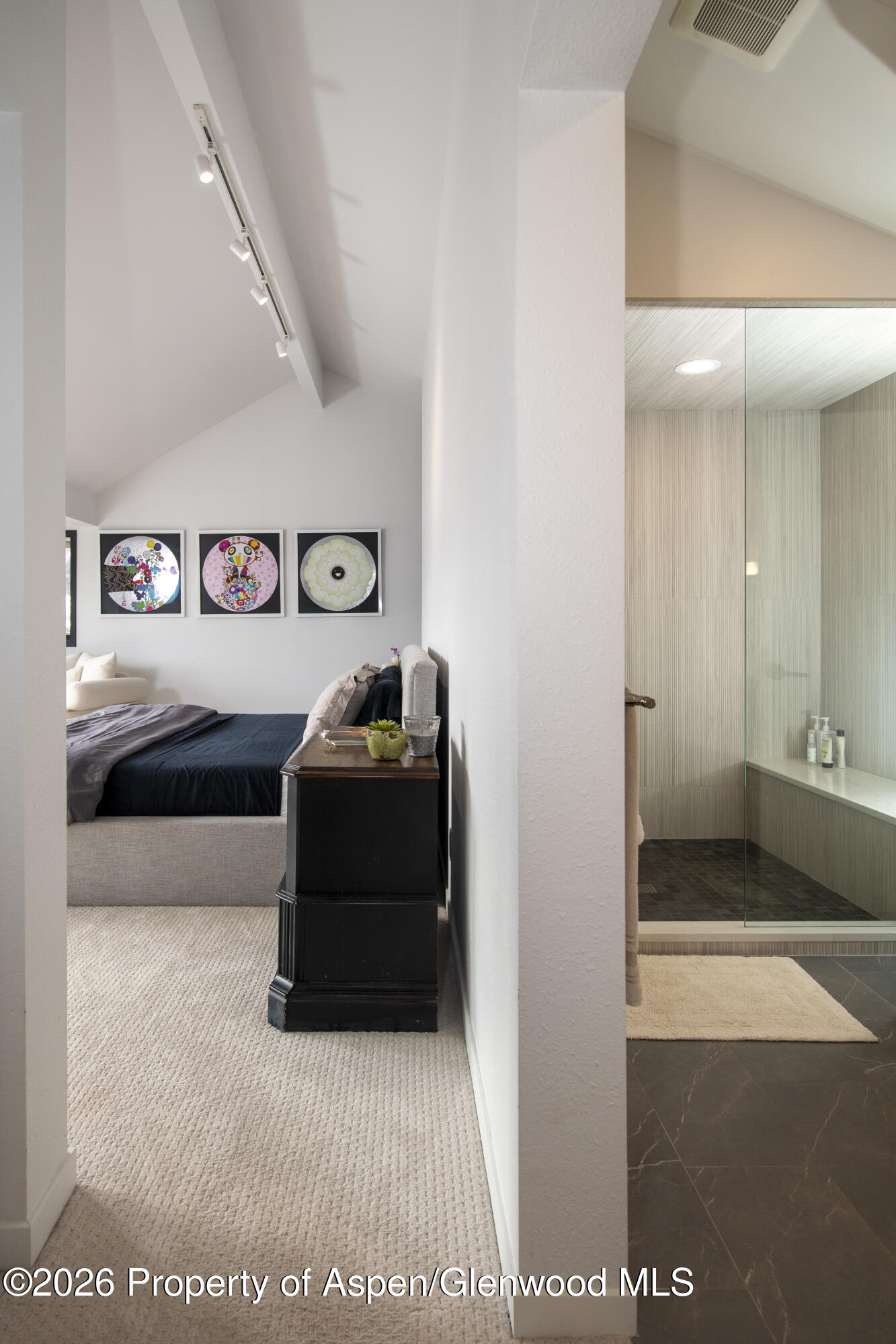 450 Solar Way Aspen, CO 81611 - Photo 14 of 51 a bedroom with a bed and a view of bathroom