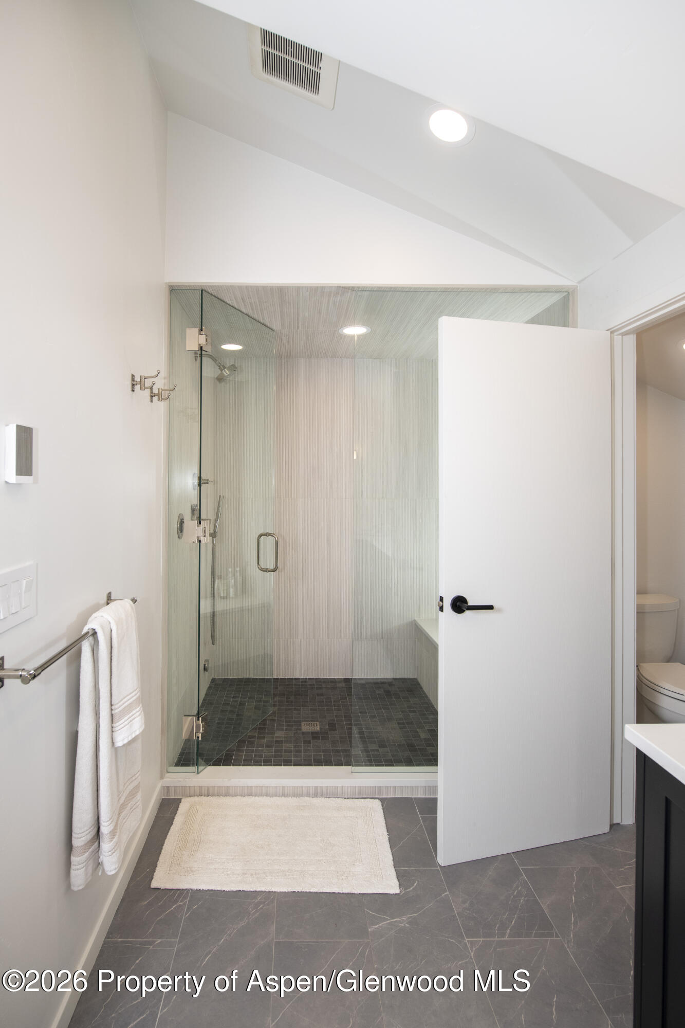 450 Solar Way Aspen, CO 81611 - Photo 17 of 51 a bathroom with a shower