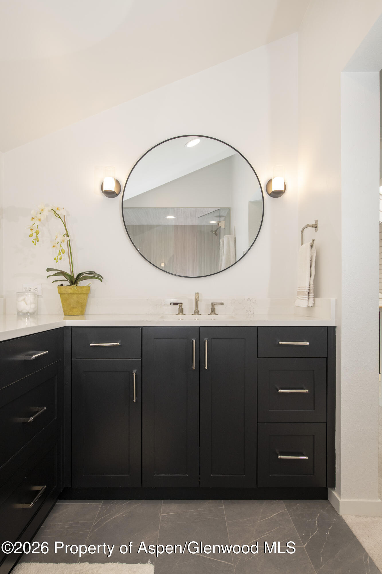 450 Solar Way Aspen, CO 81611 - Photo 21 of 51 a bathroom with a sink a vanity and mirror
