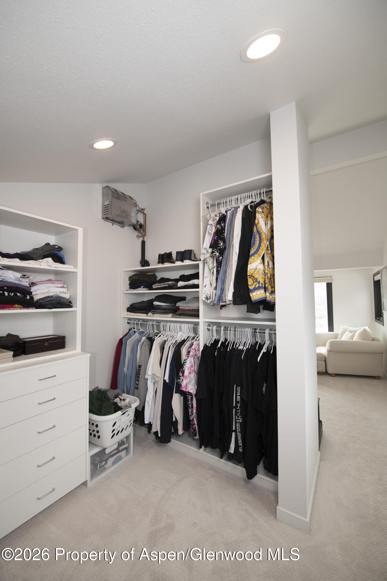 450 Solar Way Aspen, CO 81611 - Photo 22 of 51 a view of walk in closet with clothes and shoes