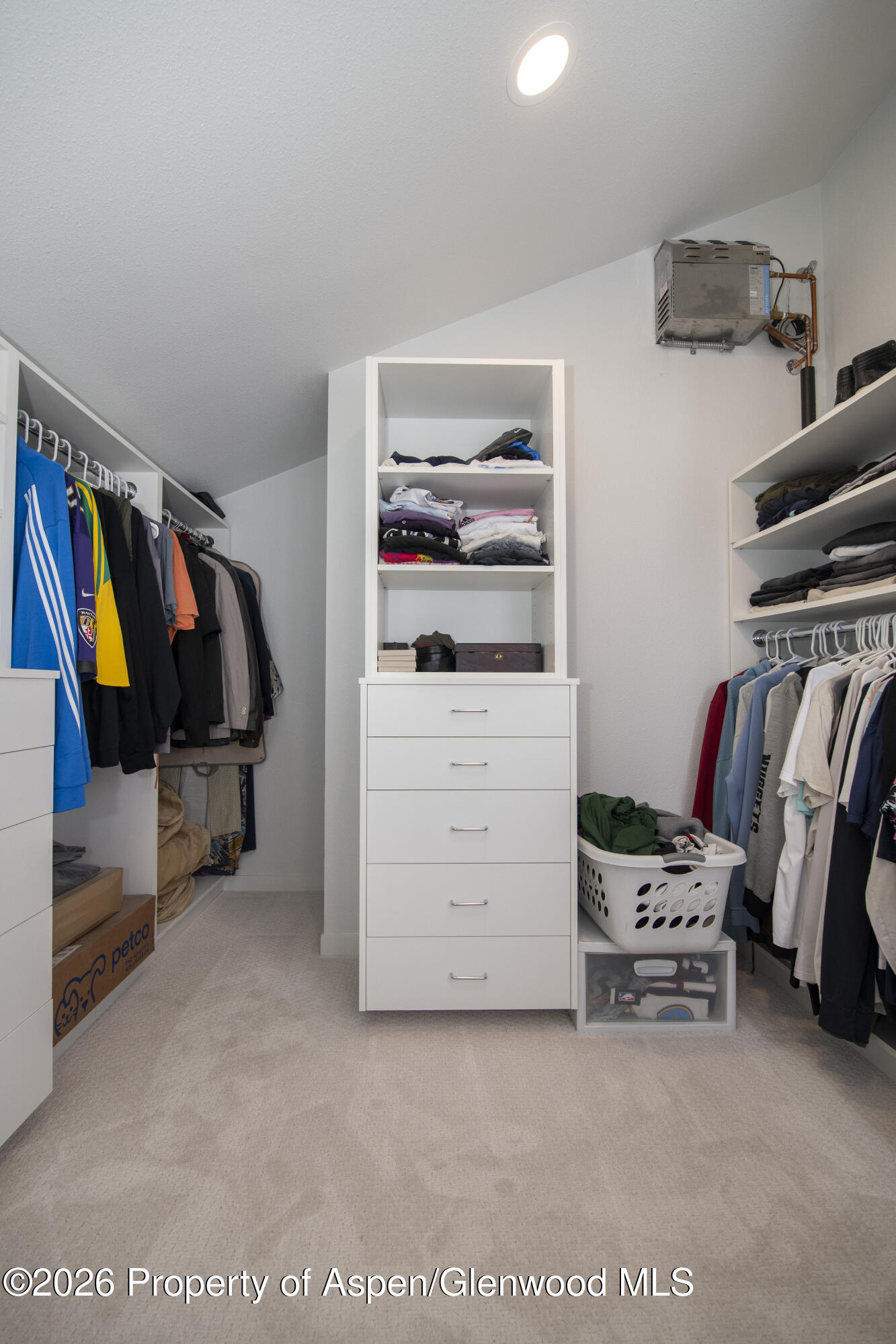 450 Solar Way Aspen, CO 81611 - Photo 23 of 51 a view of walk in closet with clothes and shoes