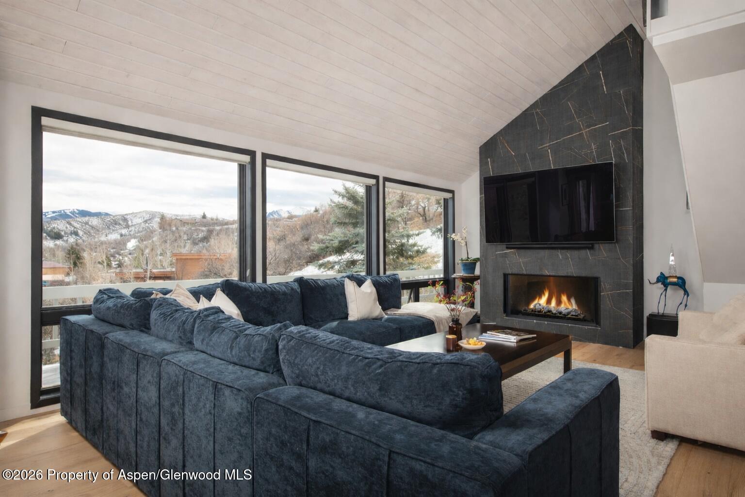 450 Solar Way Aspen, CO 81611 - Photo 3 of 51 a living room with furniture a fireplace and a flat screen tv