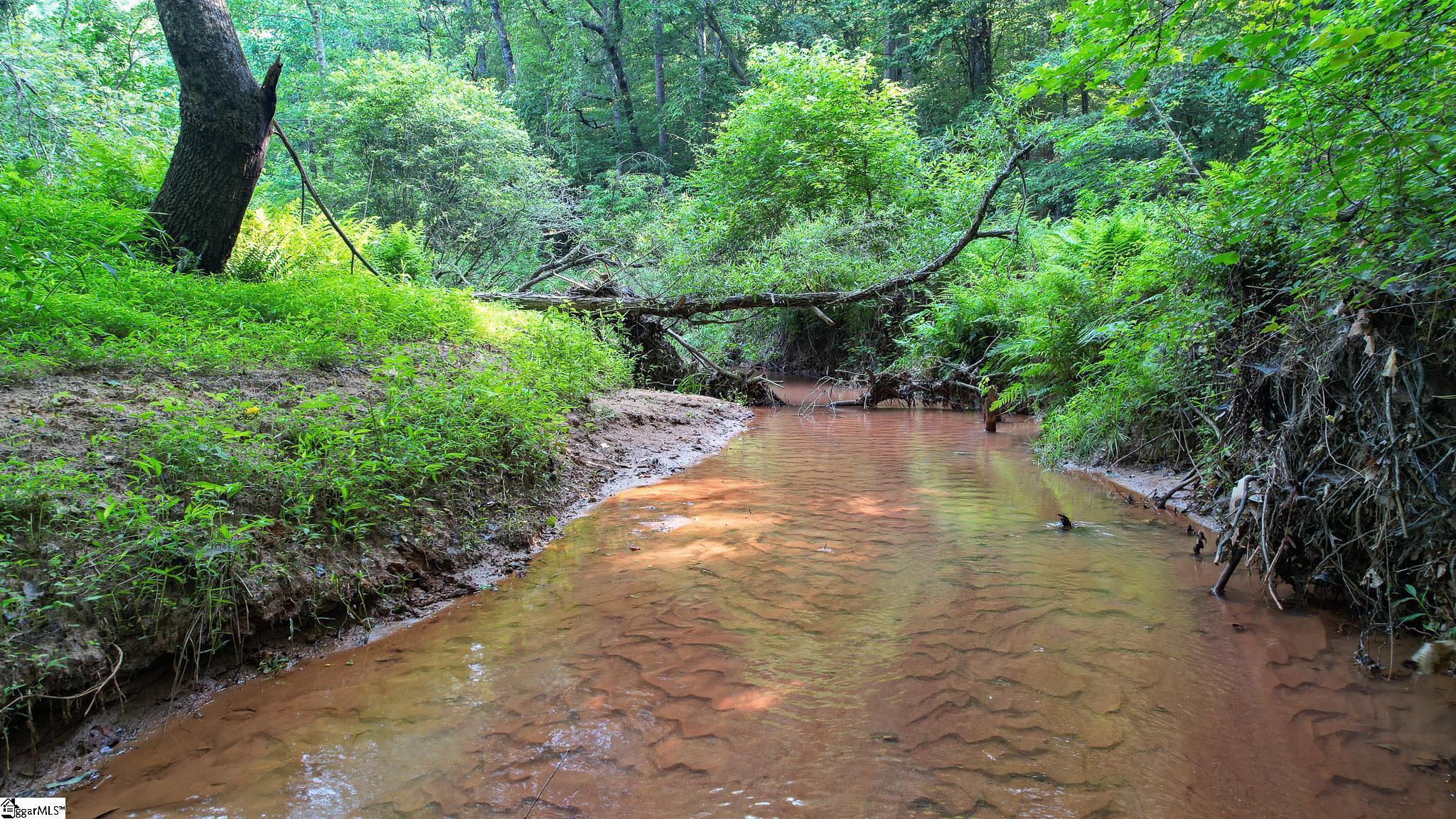 0 Woodbine Road Liberty, SC 29657 - Photo 11 of 33