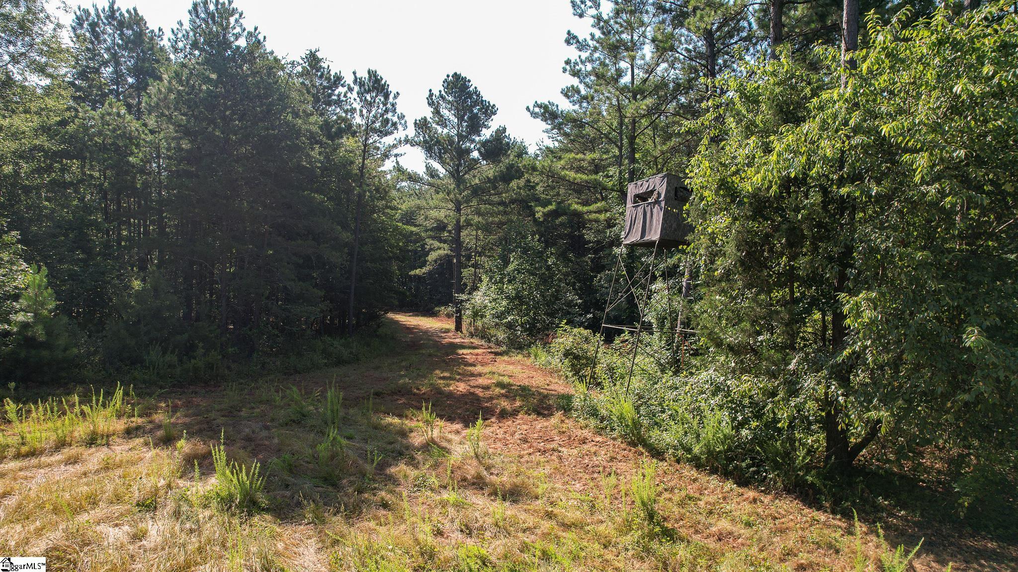 0 Woodbine Road Liberty, SC 29657 - Photo 12 of 33