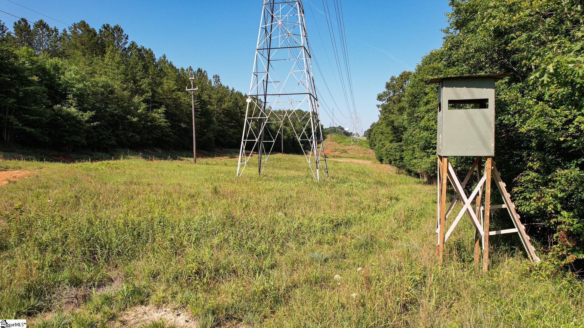 0 Woodbine Road Liberty, SC 29657 - Photo 14 of 33