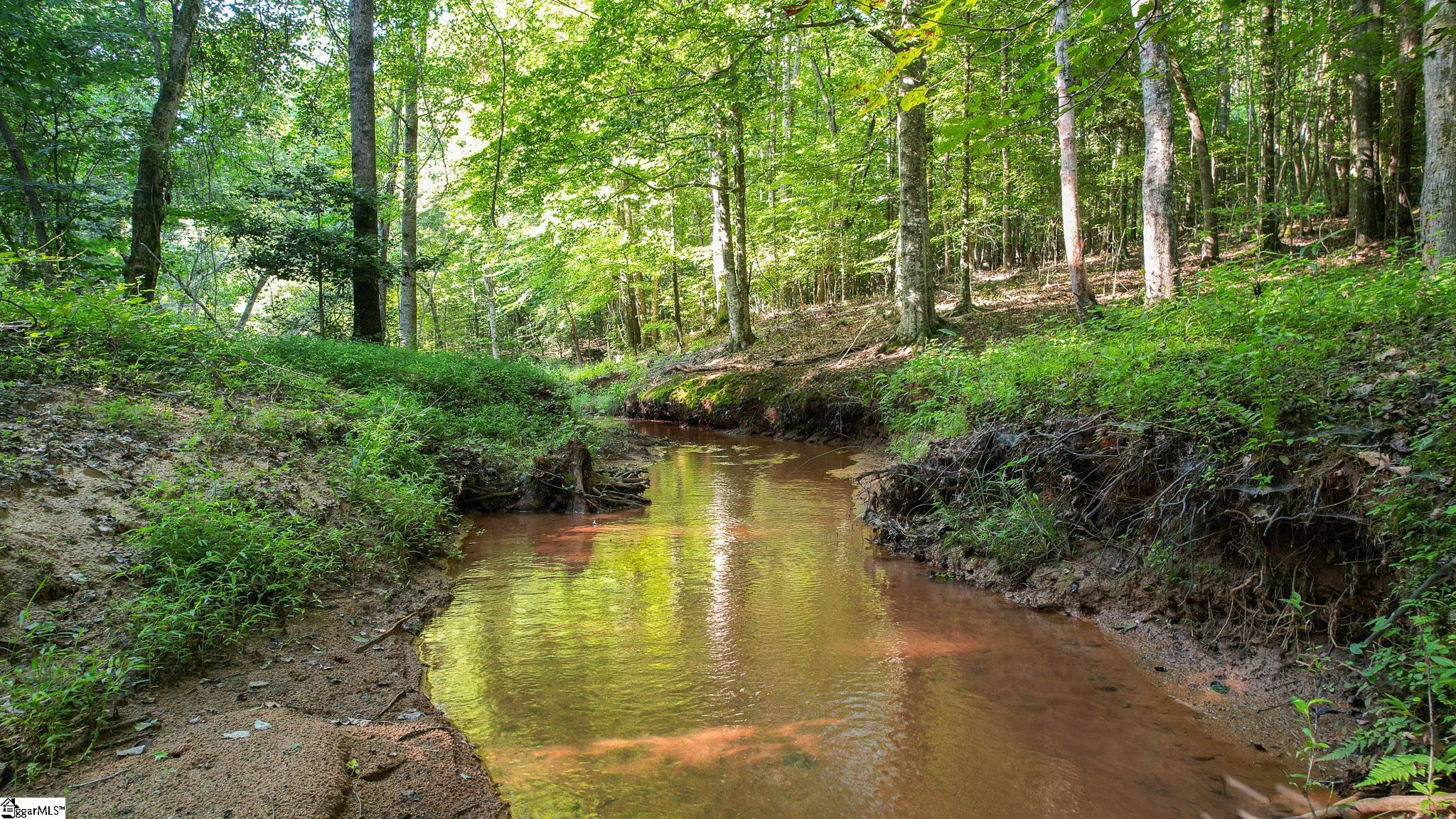 0 Woodbine Road Liberty, SC 29657 - Photo 16 of 33