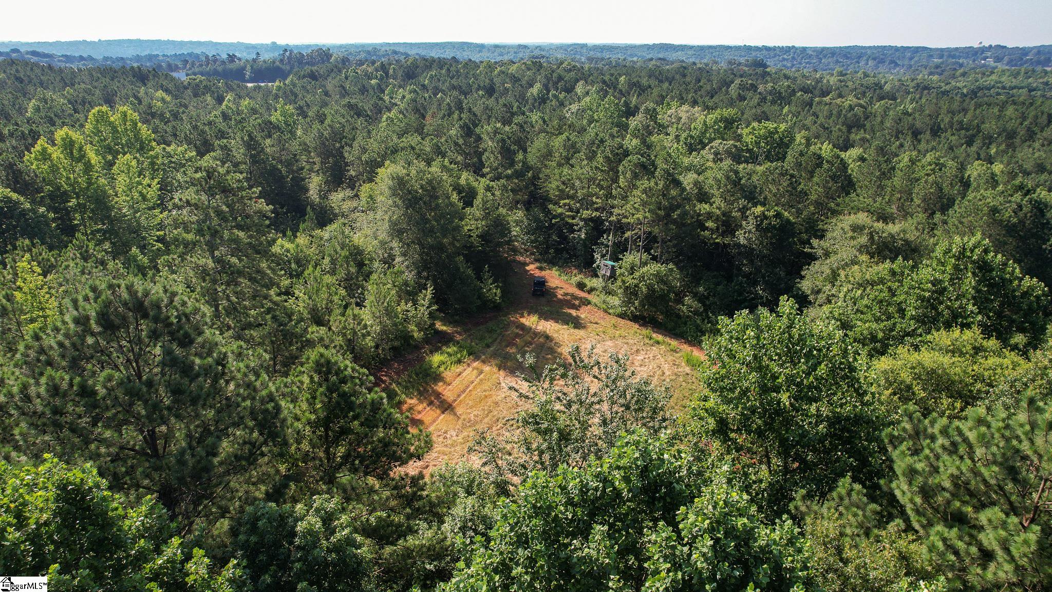 0 Woodbine Road Liberty, SC 29657 - Photo 17 of 33