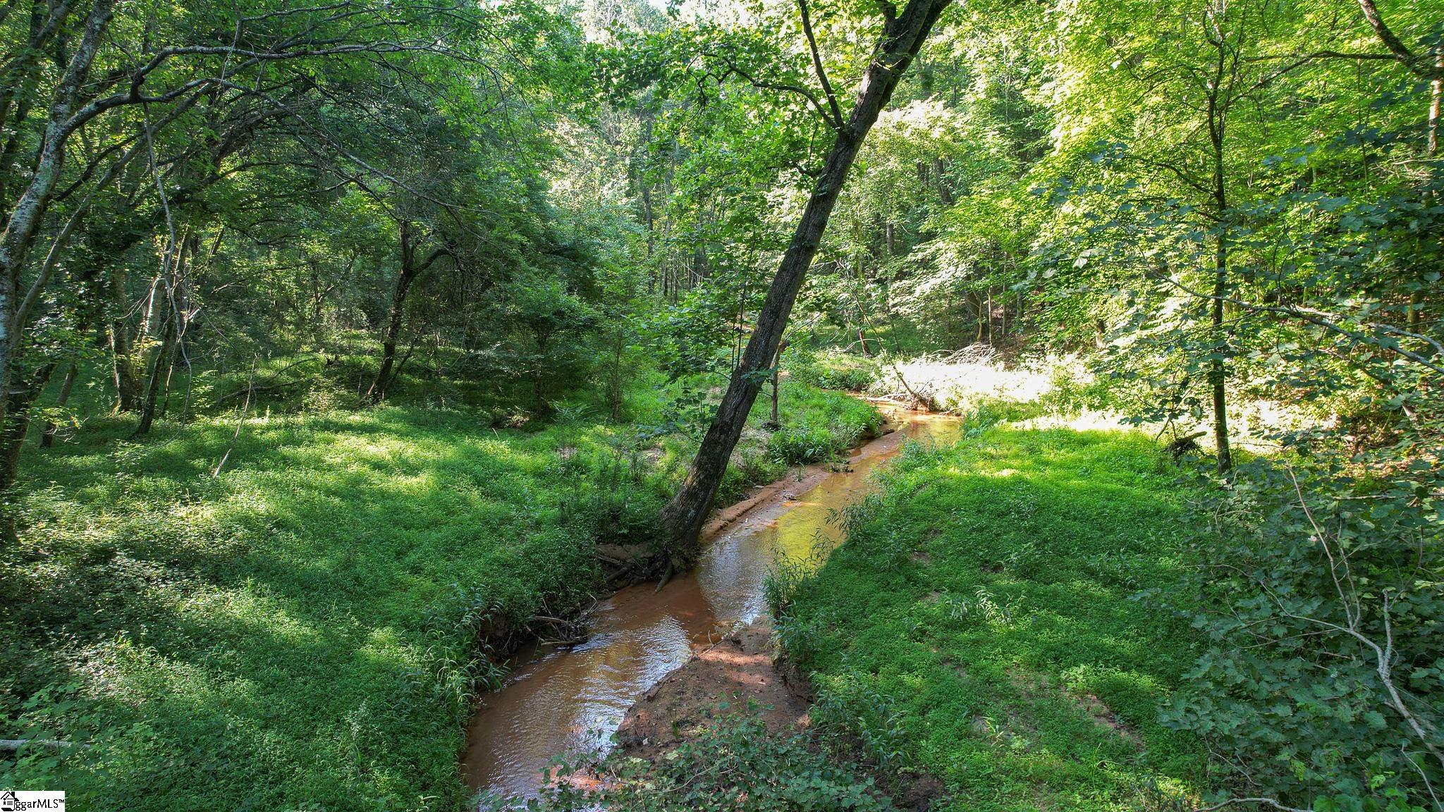 0 Woodbine Road Liberty, SC 29657 - Photo 20 of 33