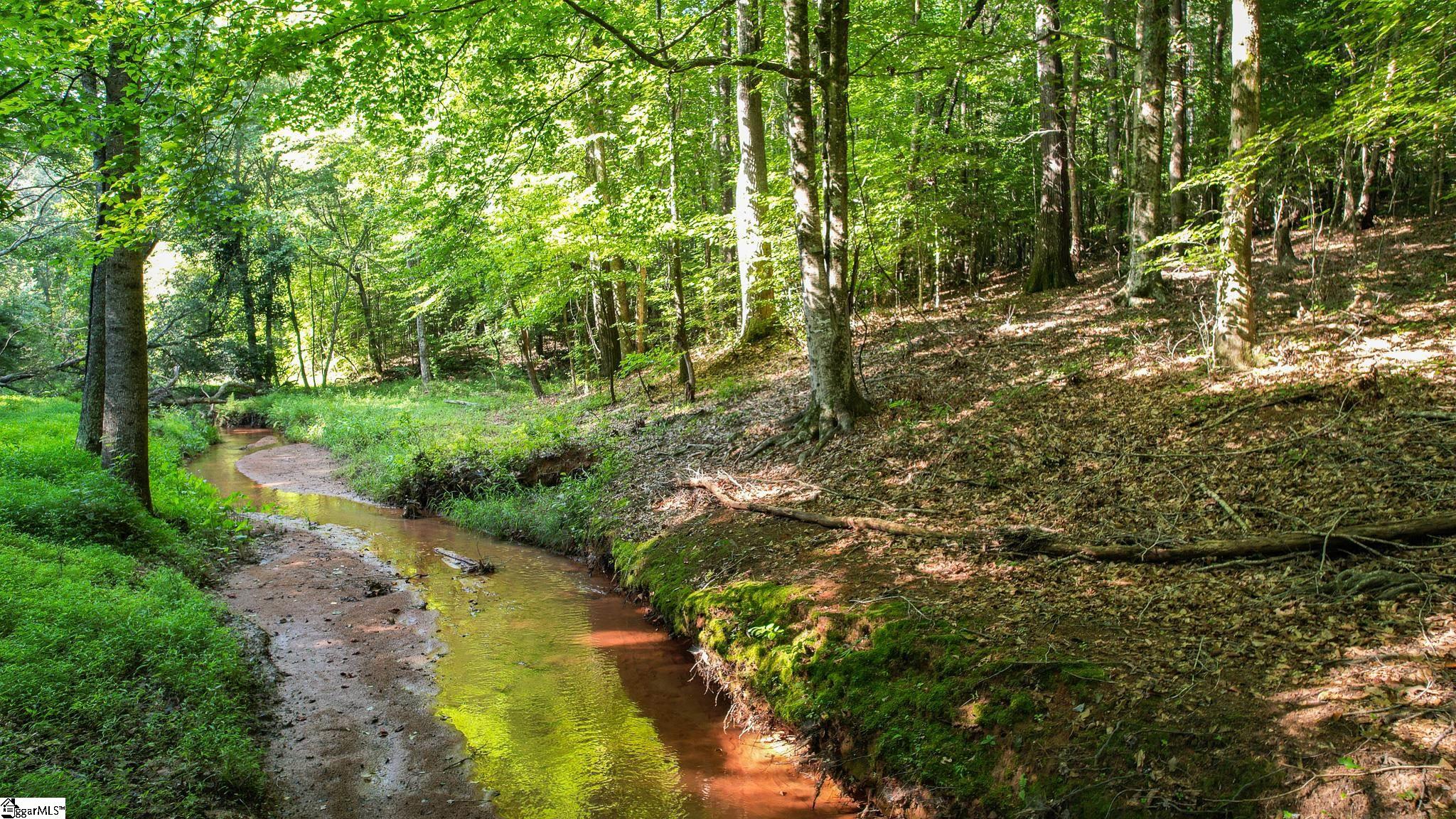 0 Woodbine Road Liberty, SC 29657 - Photo 2 of 33
