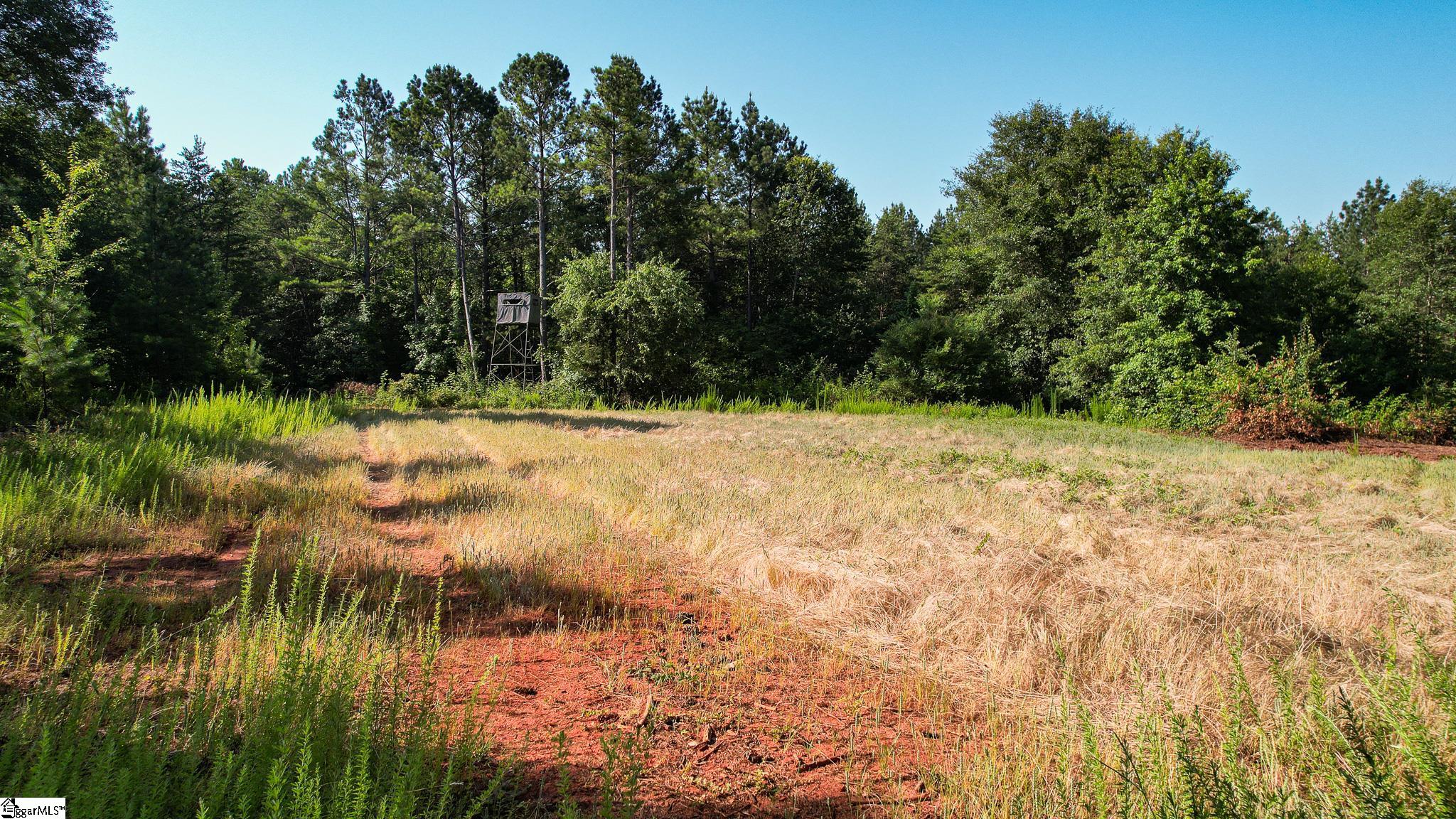0 Woodbine Road Liberty, SC 29657 - Photo 22 of 33