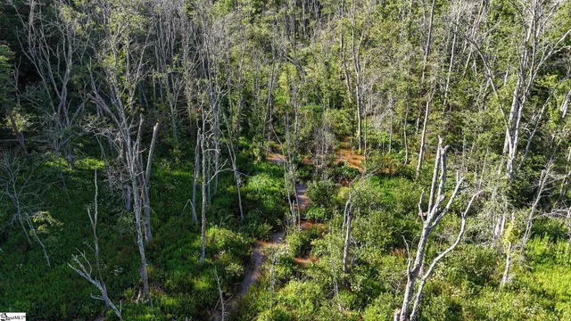 $1,976,000 | 0 Woodbine Road, Liberty, SC 29657