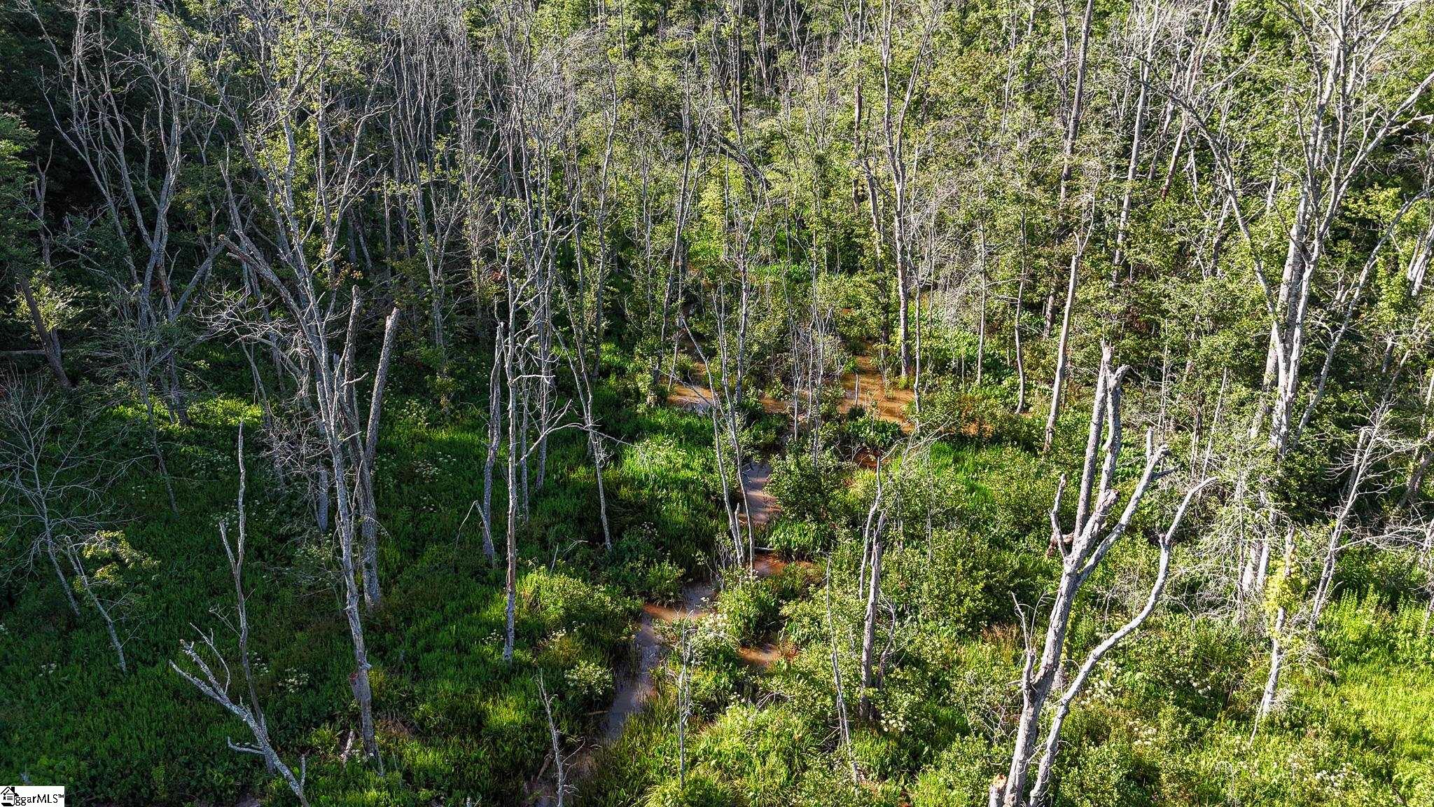 0 Woodbine Road Liberty, SC 29657 - Photo 24 of 33