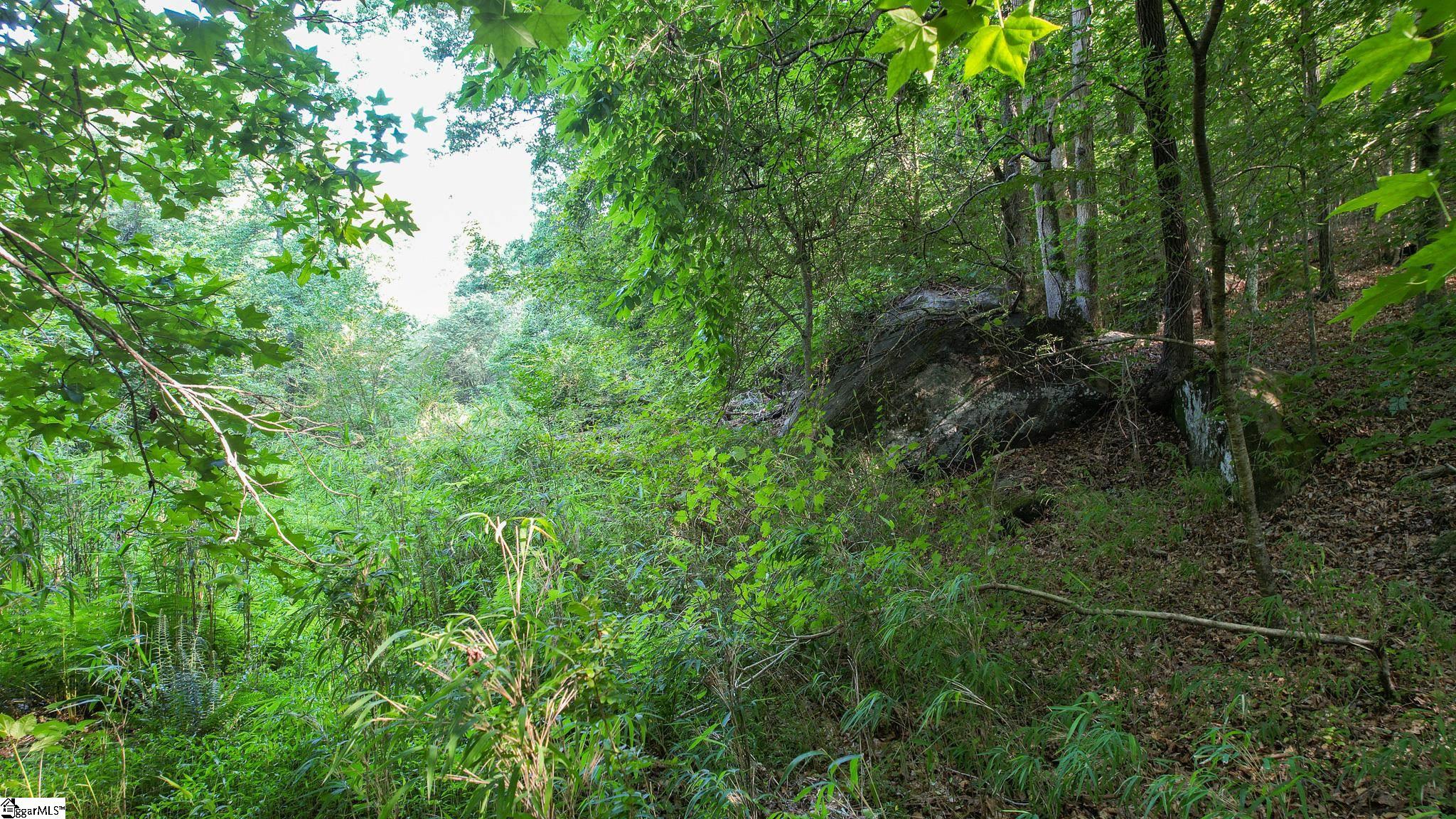 0 Woodbine Road Liberty, SC 29657 - Photo 26 of 33