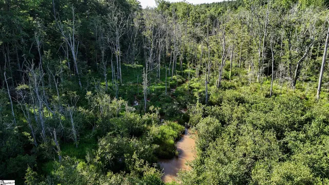 $1,976,000 | 0 Woodbine Road, Liberty, SC 29657