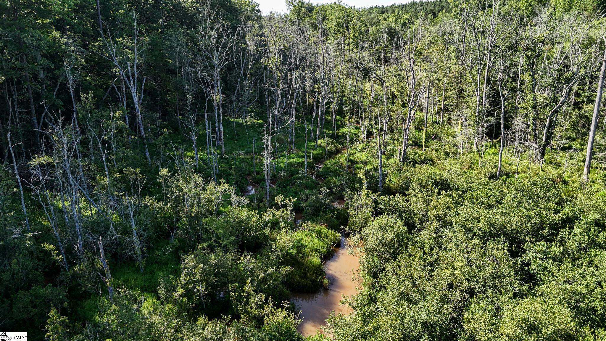 0 Woodbine Road Liberty, SC 29657 - Photo 27 of 33