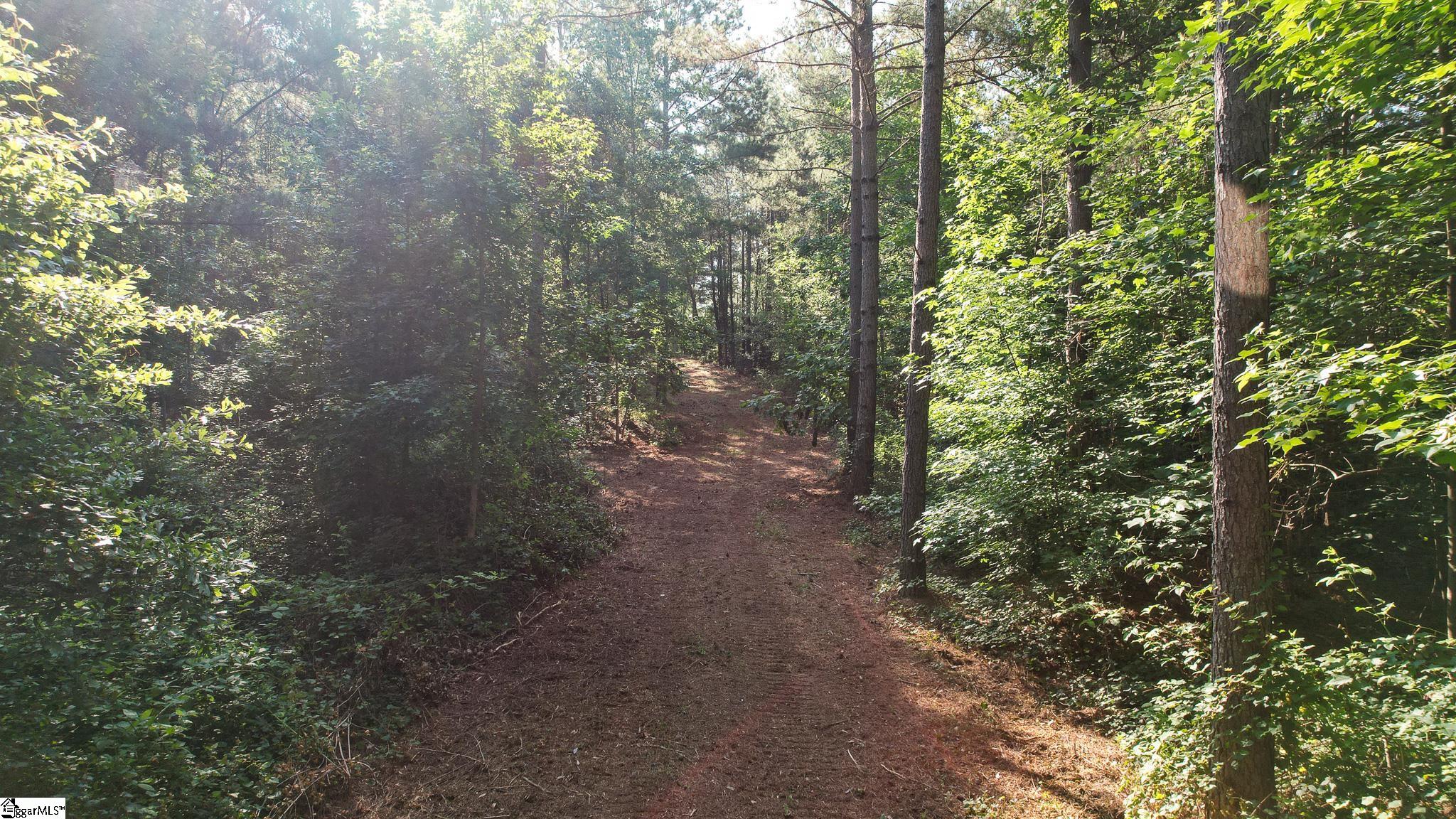 0 Woodbine Road Liberty, SC 29657 - Photo 28 of 33