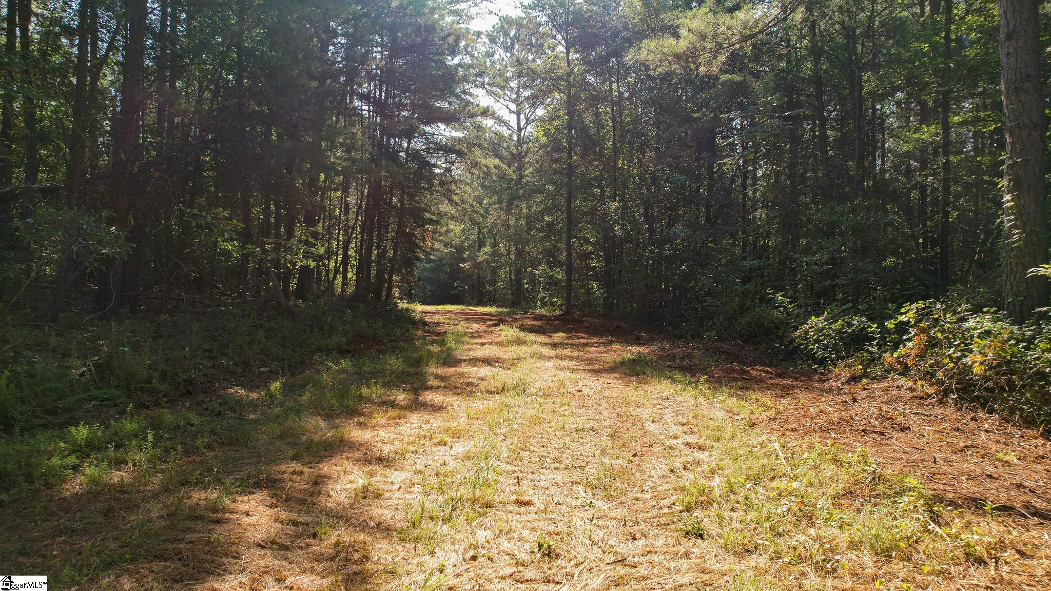 0 Woodbine Road Liberty, SC 29657 - Photo 29 of 33