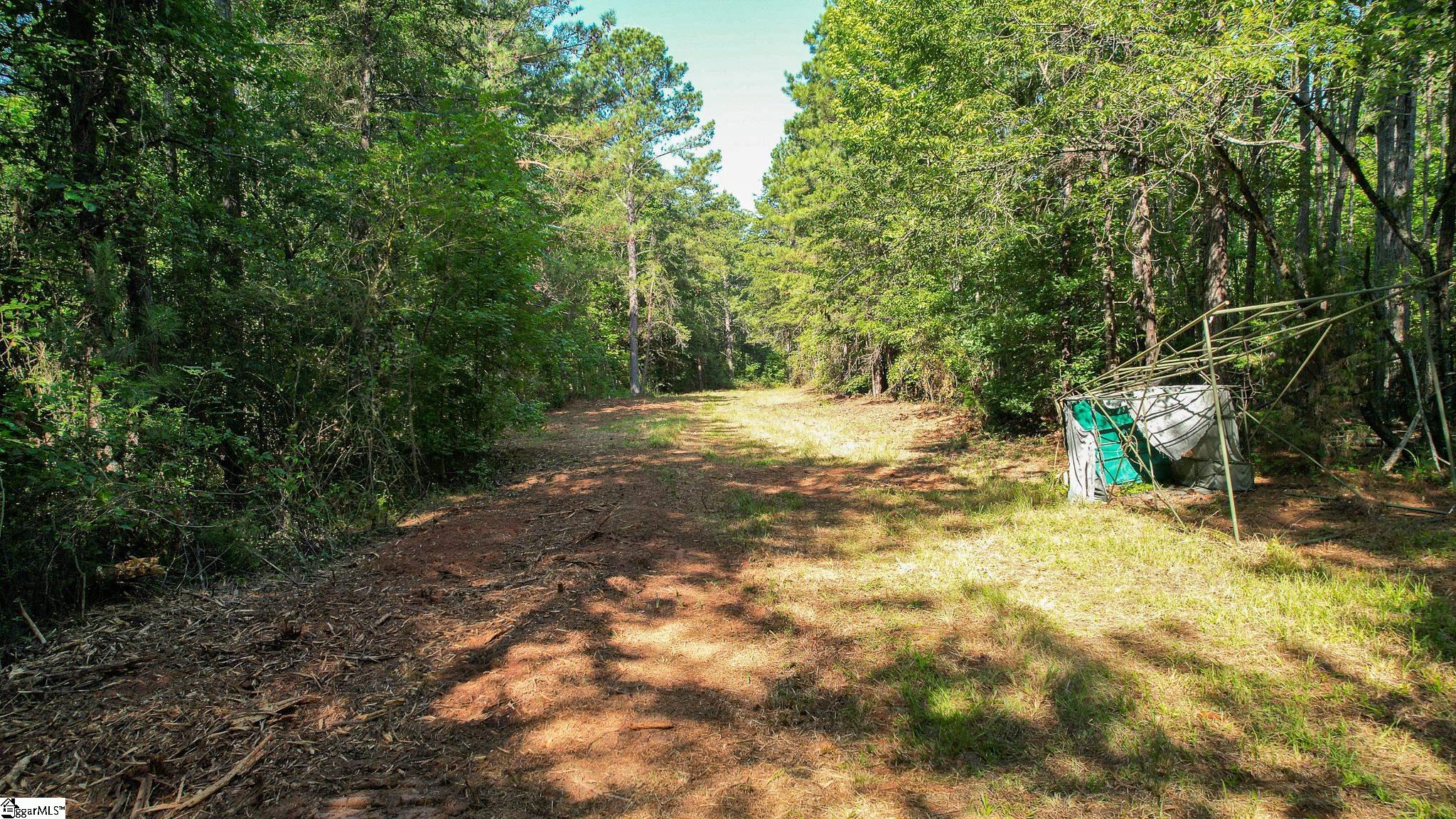 0 Woodbine Road Liberty, SC 29657 - Photo 30 of 33