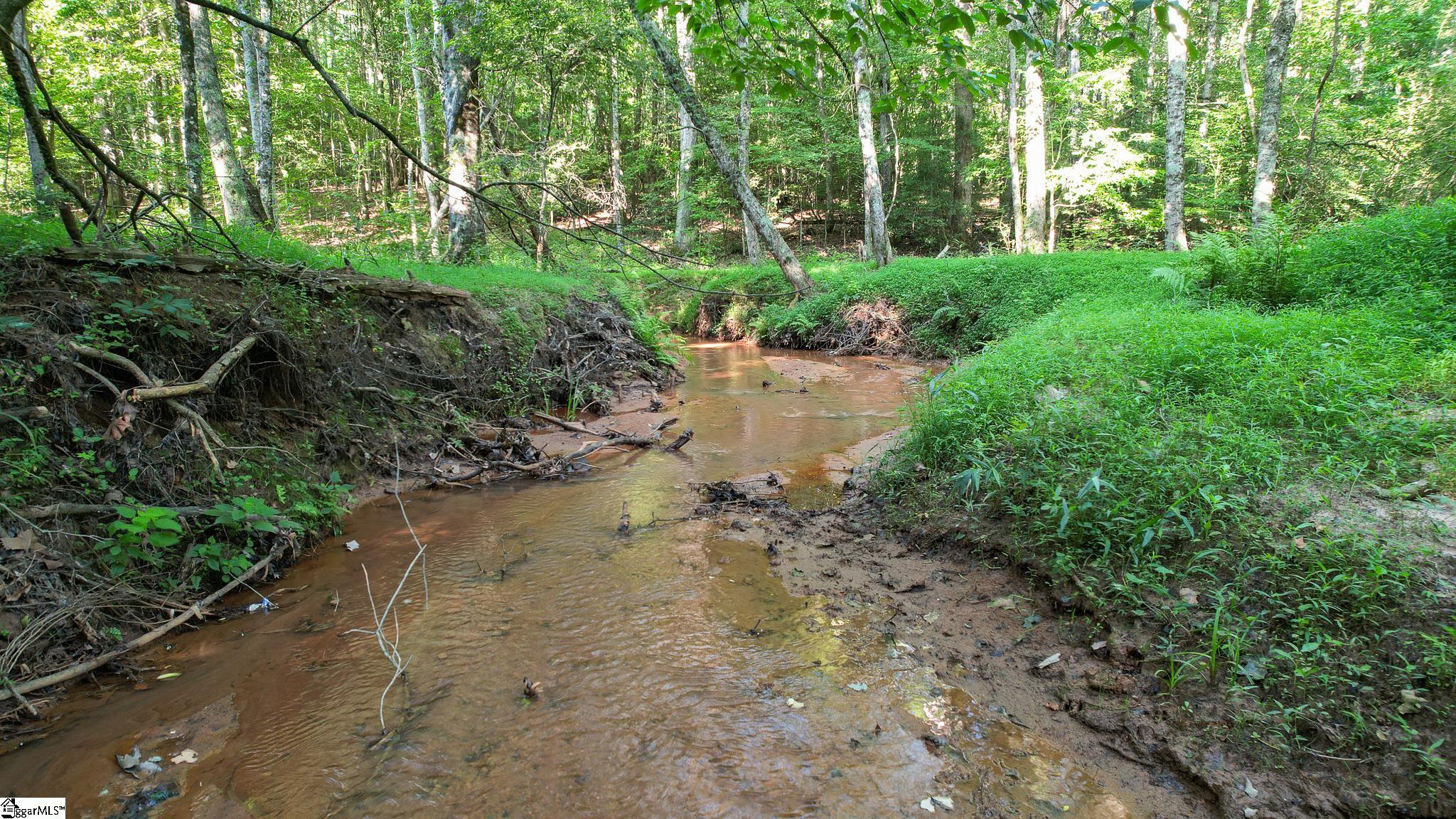 0 Woodbine Road Liberty, SC 29657 - Photo 3 of 33