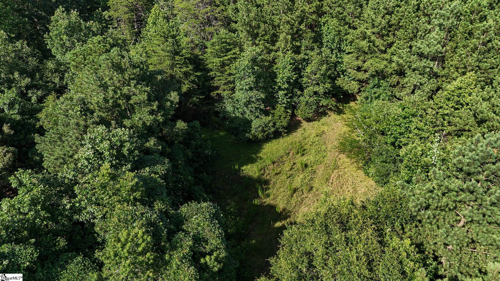 0 Woodbine Road Liberty, SC 29657 - Photo 32 of 33