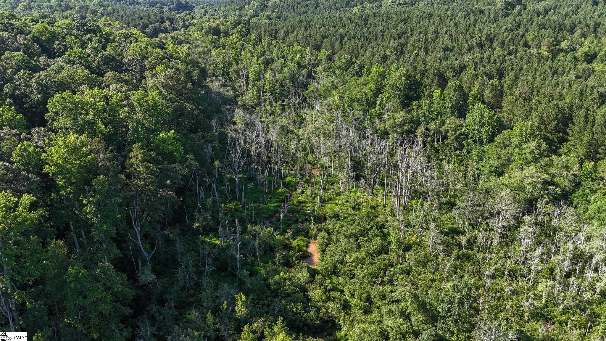 0 Woodbine Road Liberty, SC 29657 - Photo 33 of 33